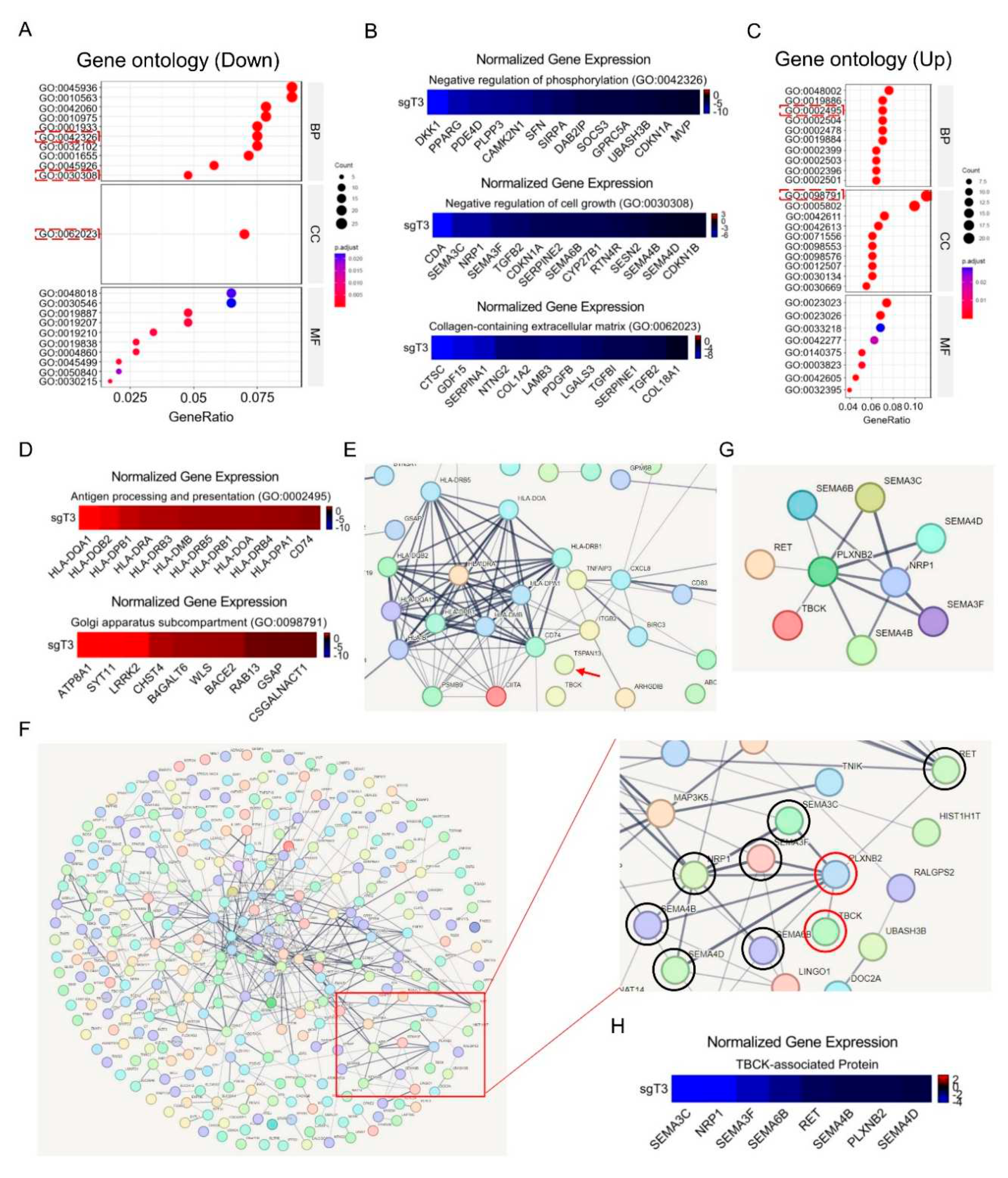Preprints 82141 g010