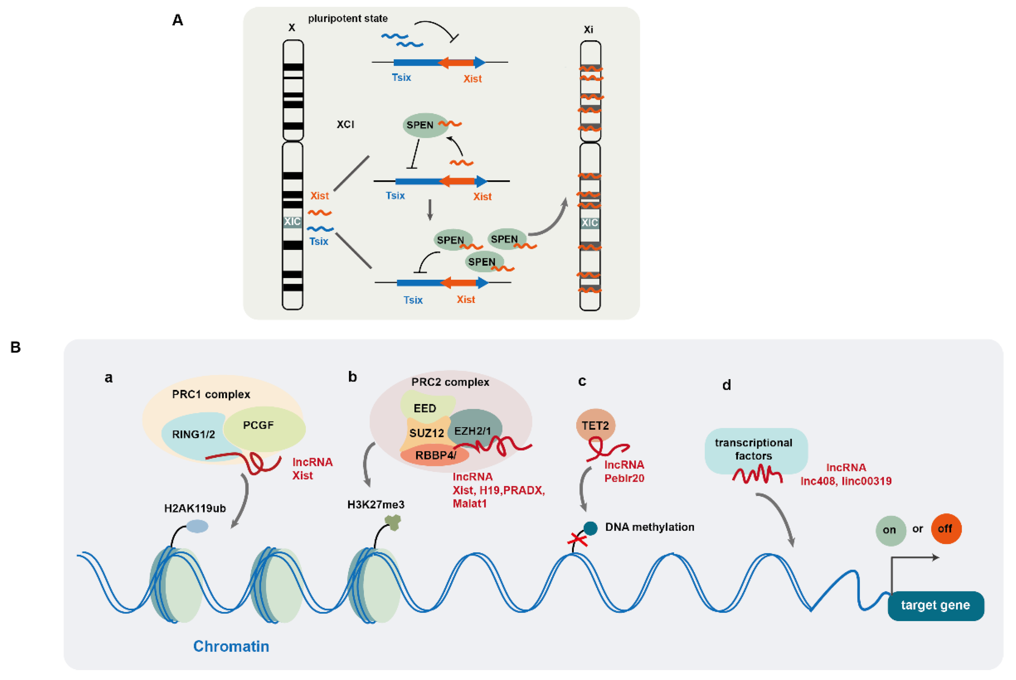 Preprints 144138 g001