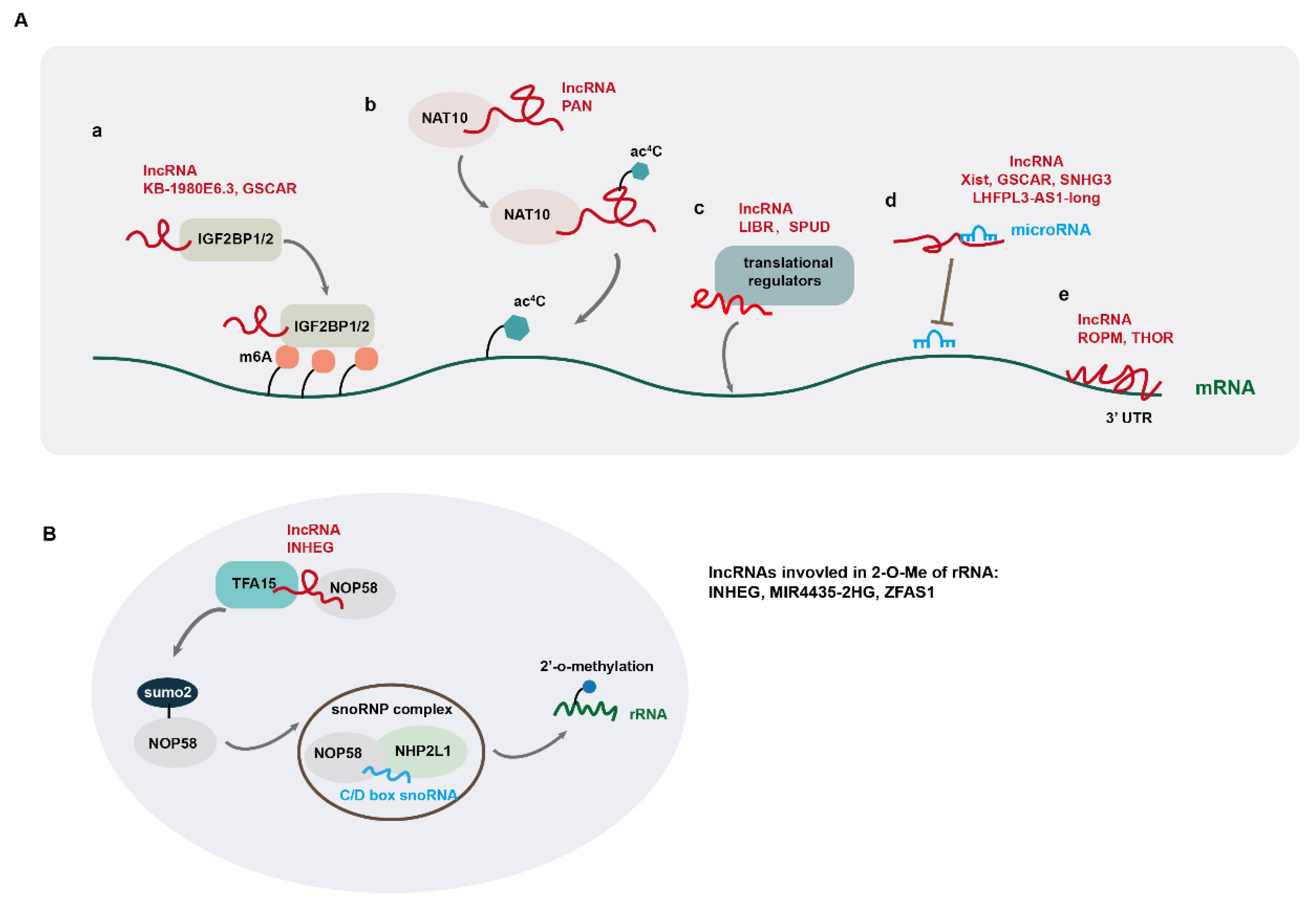 Preprints 144138 g002