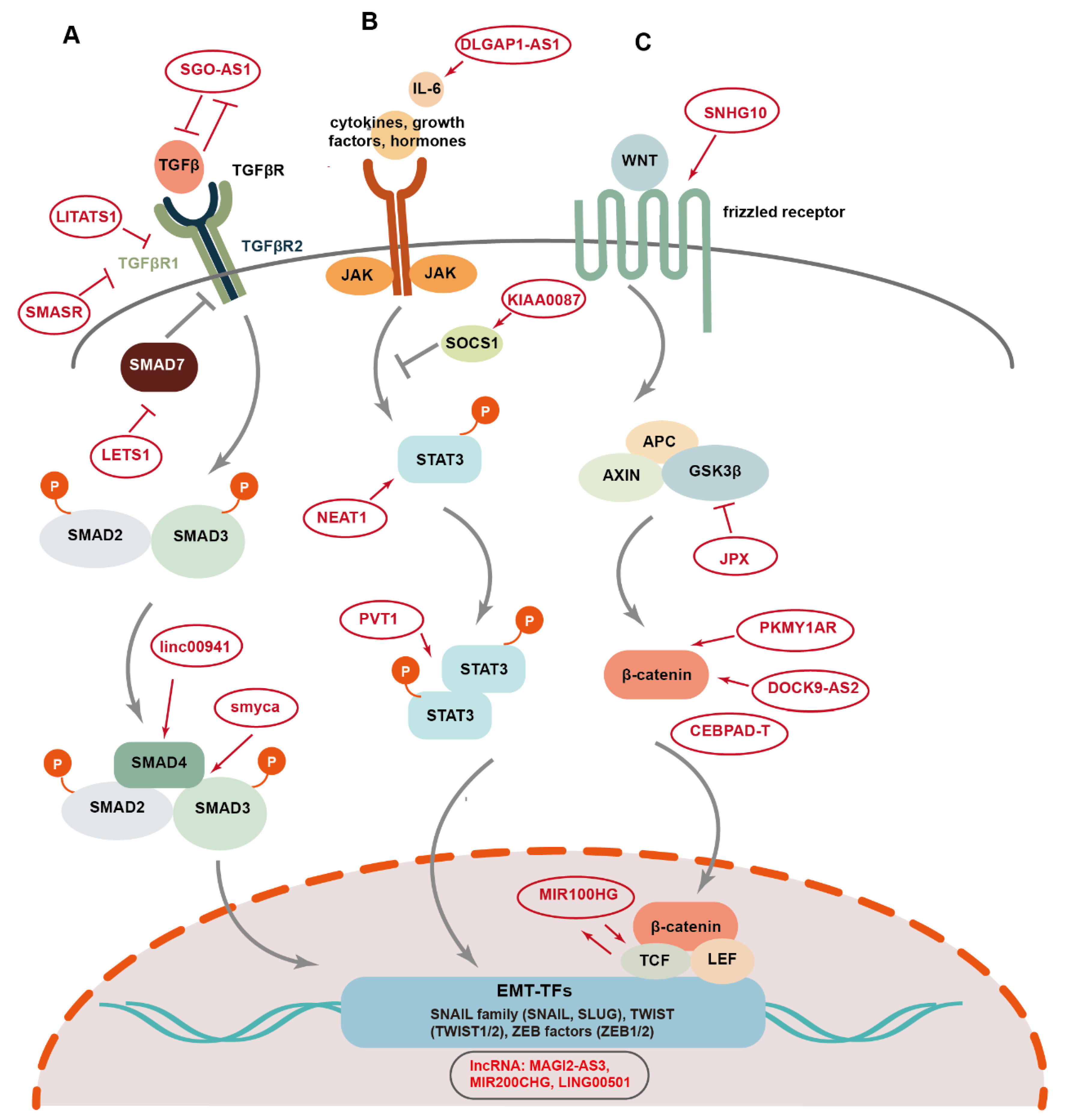 Preprints 144138 g004