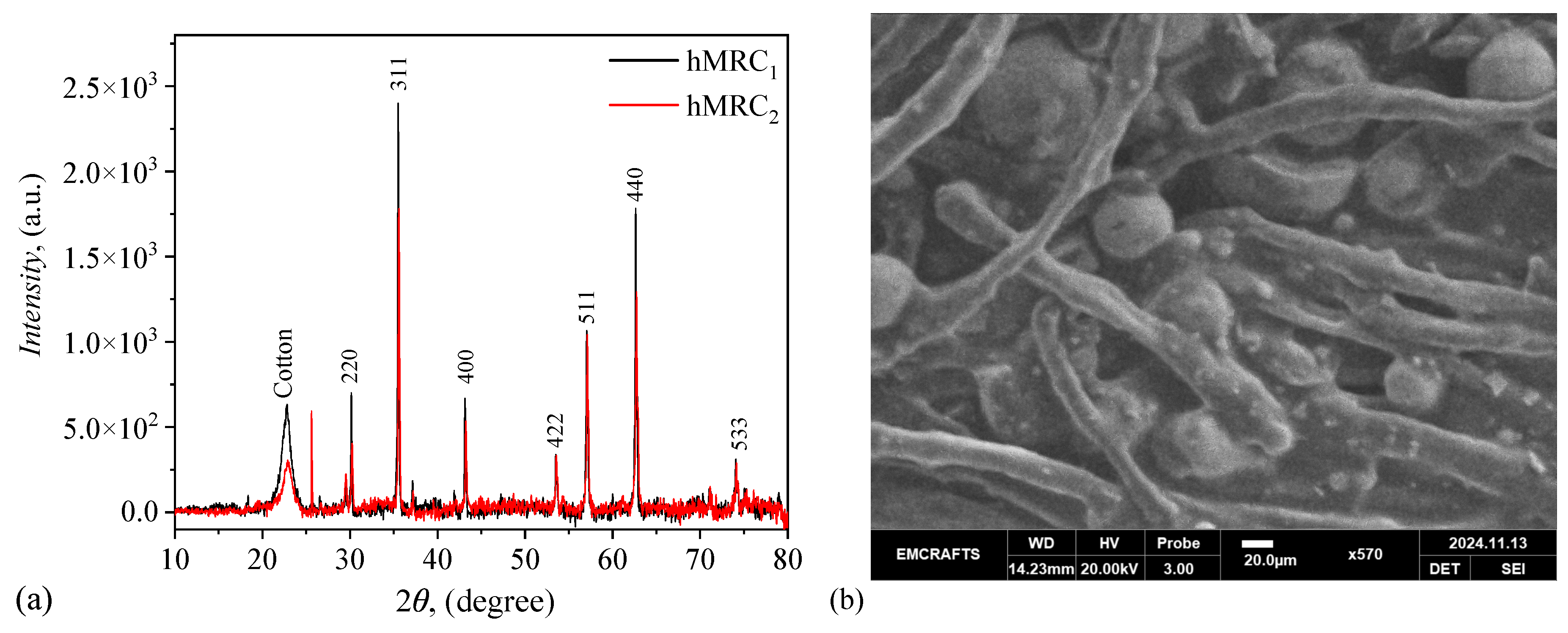 Preprints 151537 g002