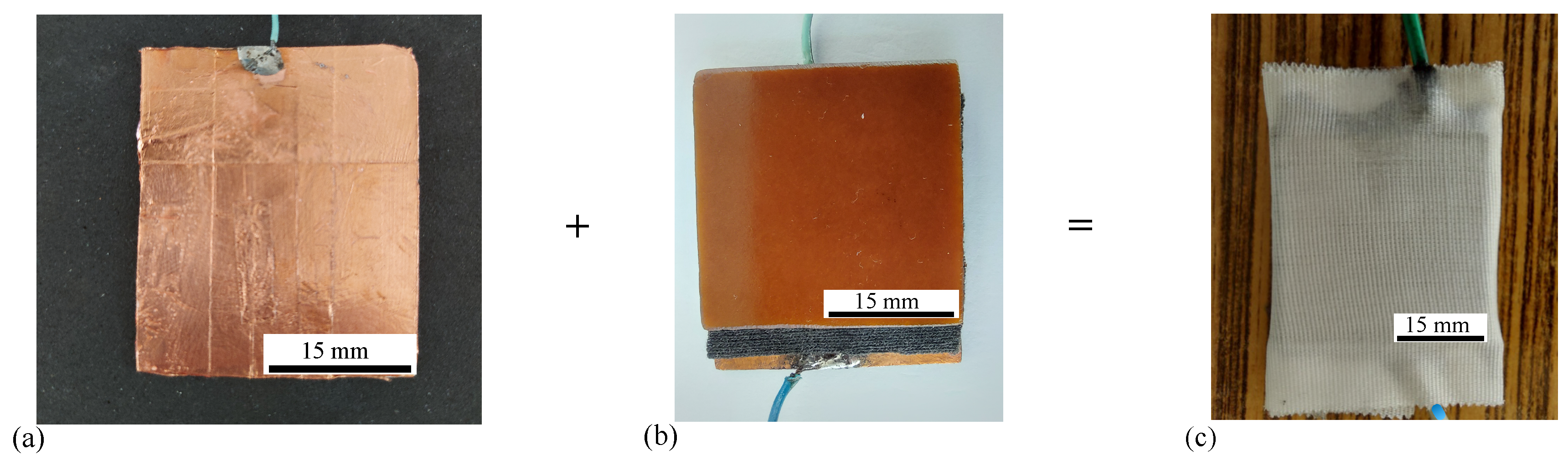 Preprints 151537 g004