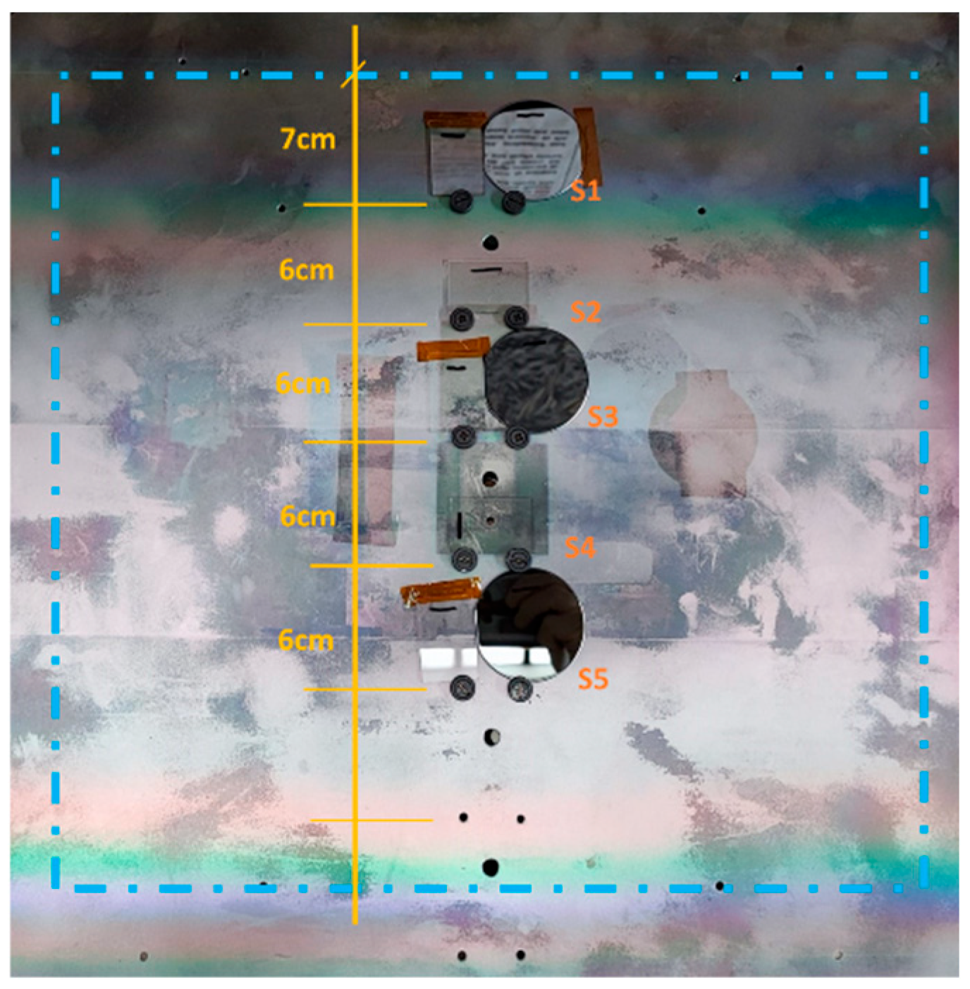 Preprints 110873 g002