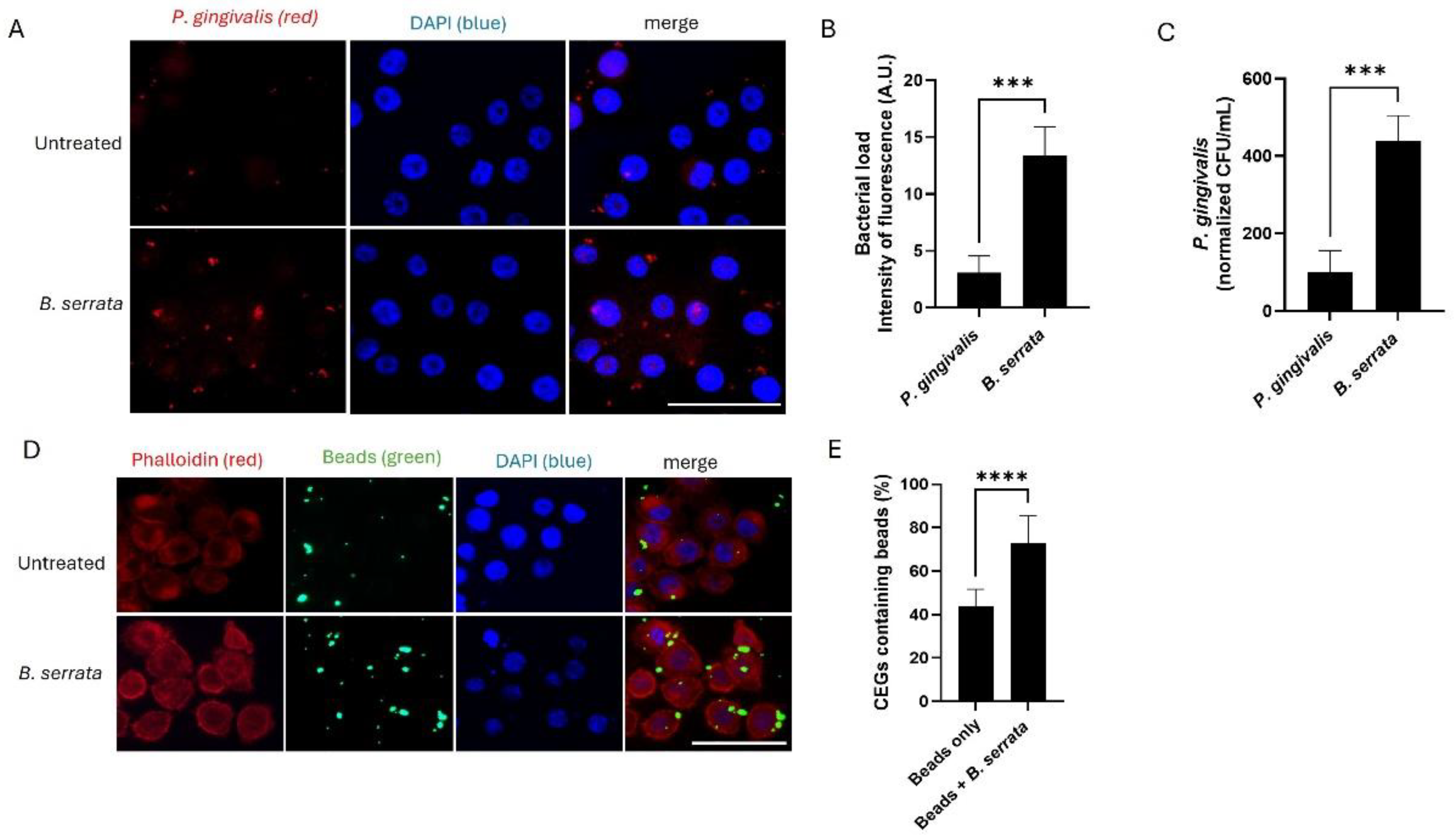 Preprints 194752 g001