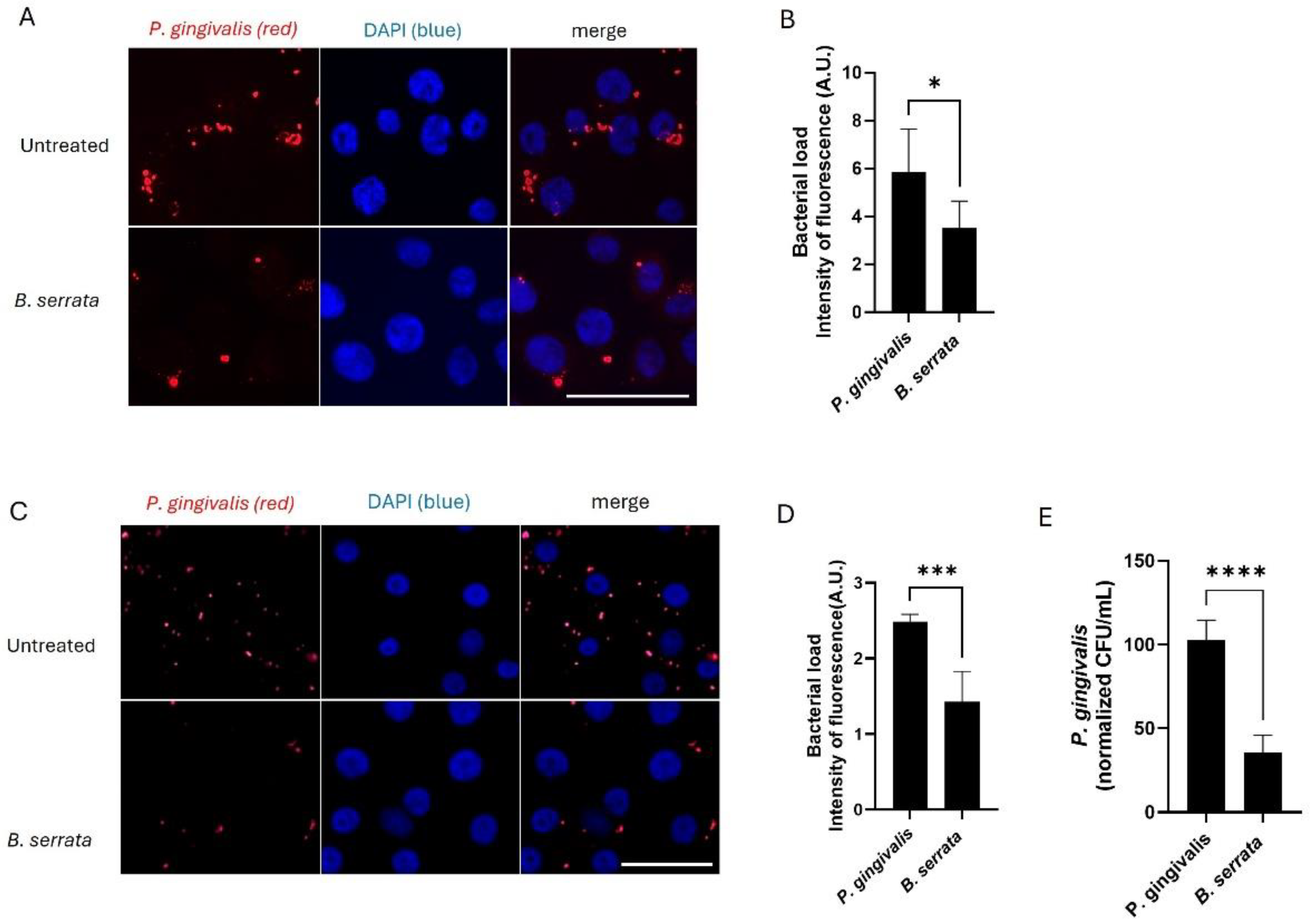 Preprints 194752 g002