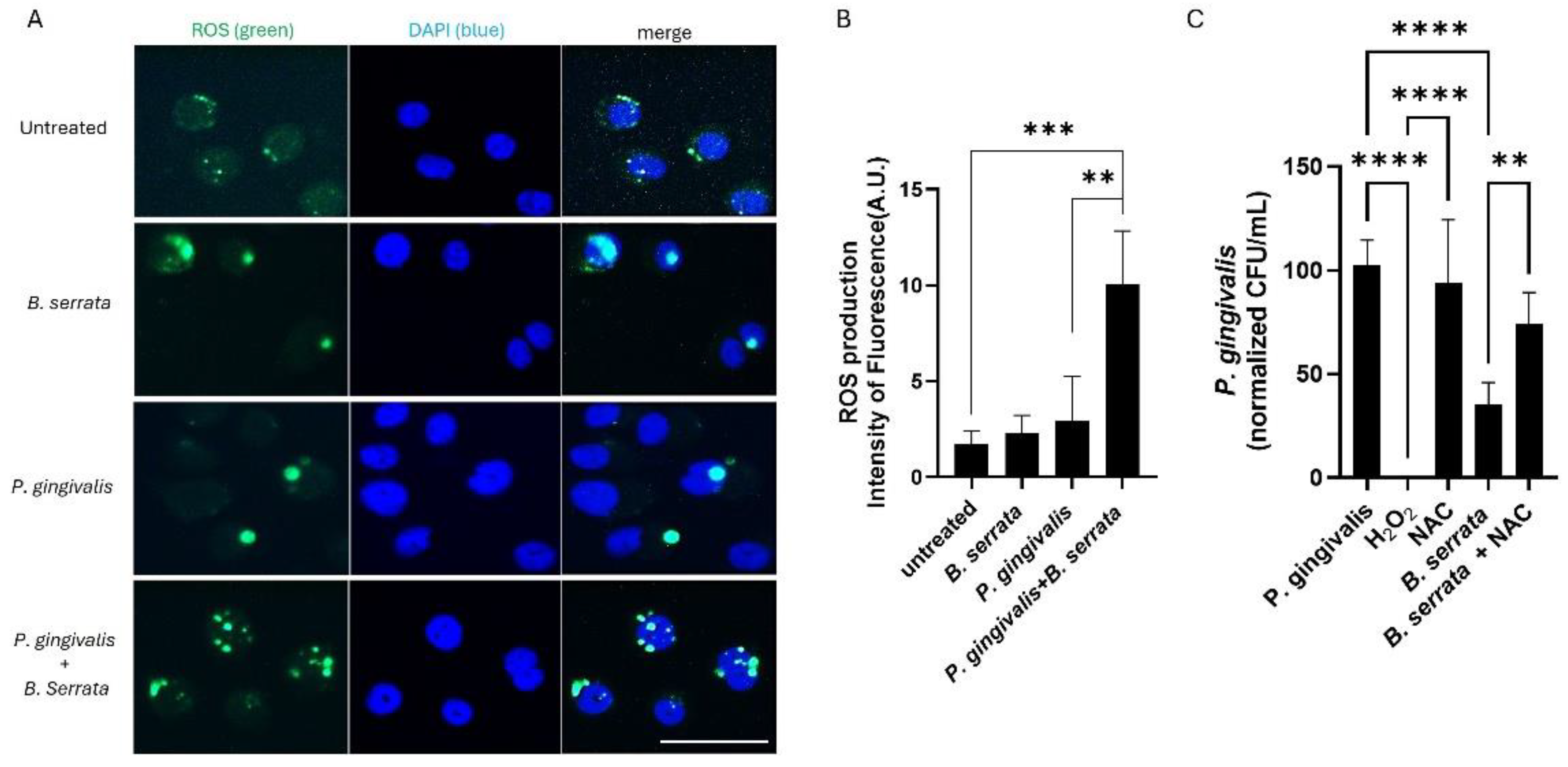 Preprints 194752 g003