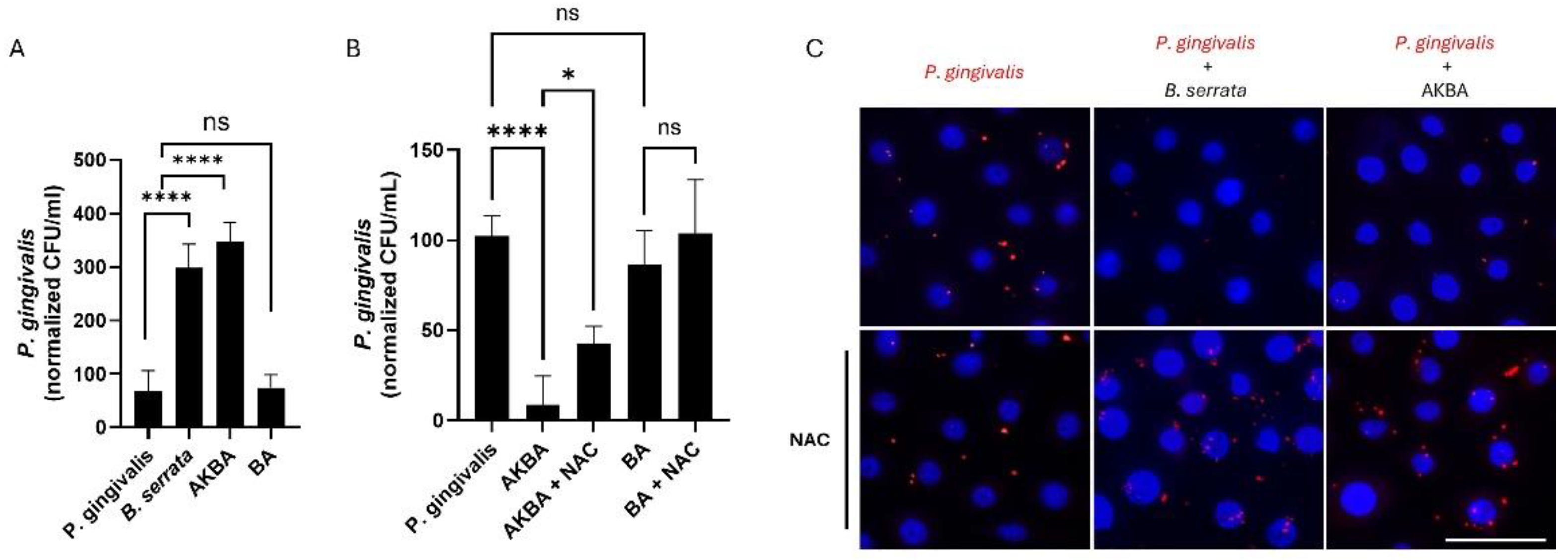Preprints 194752 g004