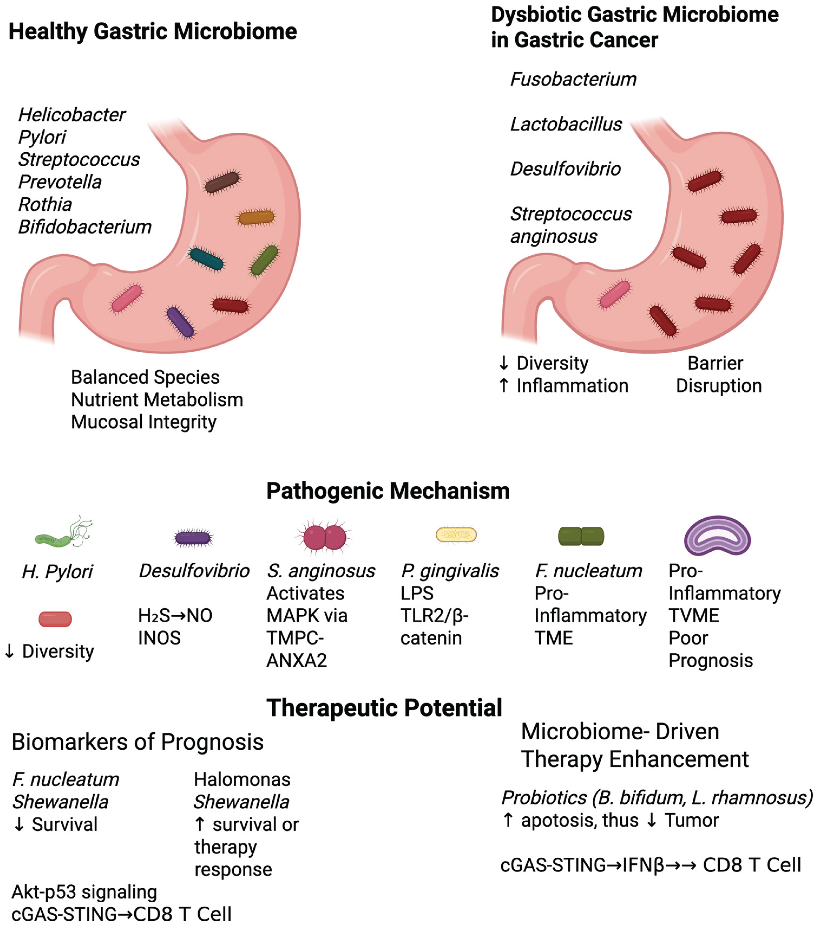 Preprints 159277 g001