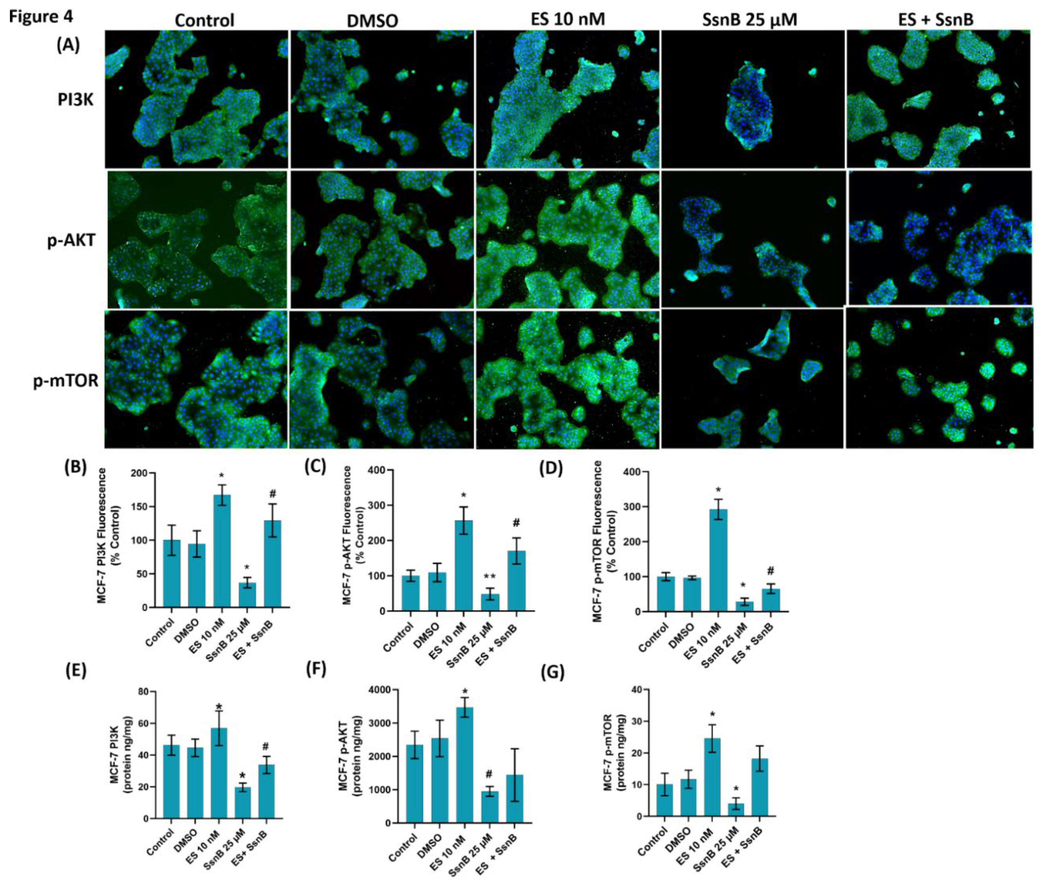 Preprints 137405 g004