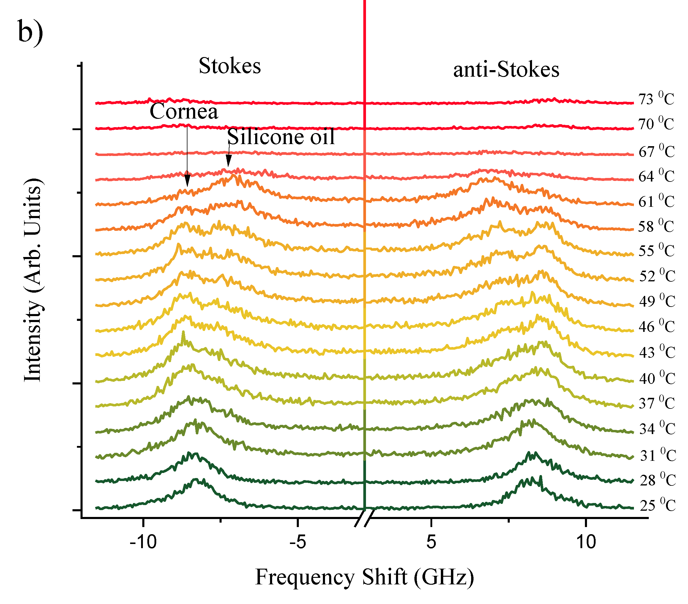 Preprints 107564 g002b
