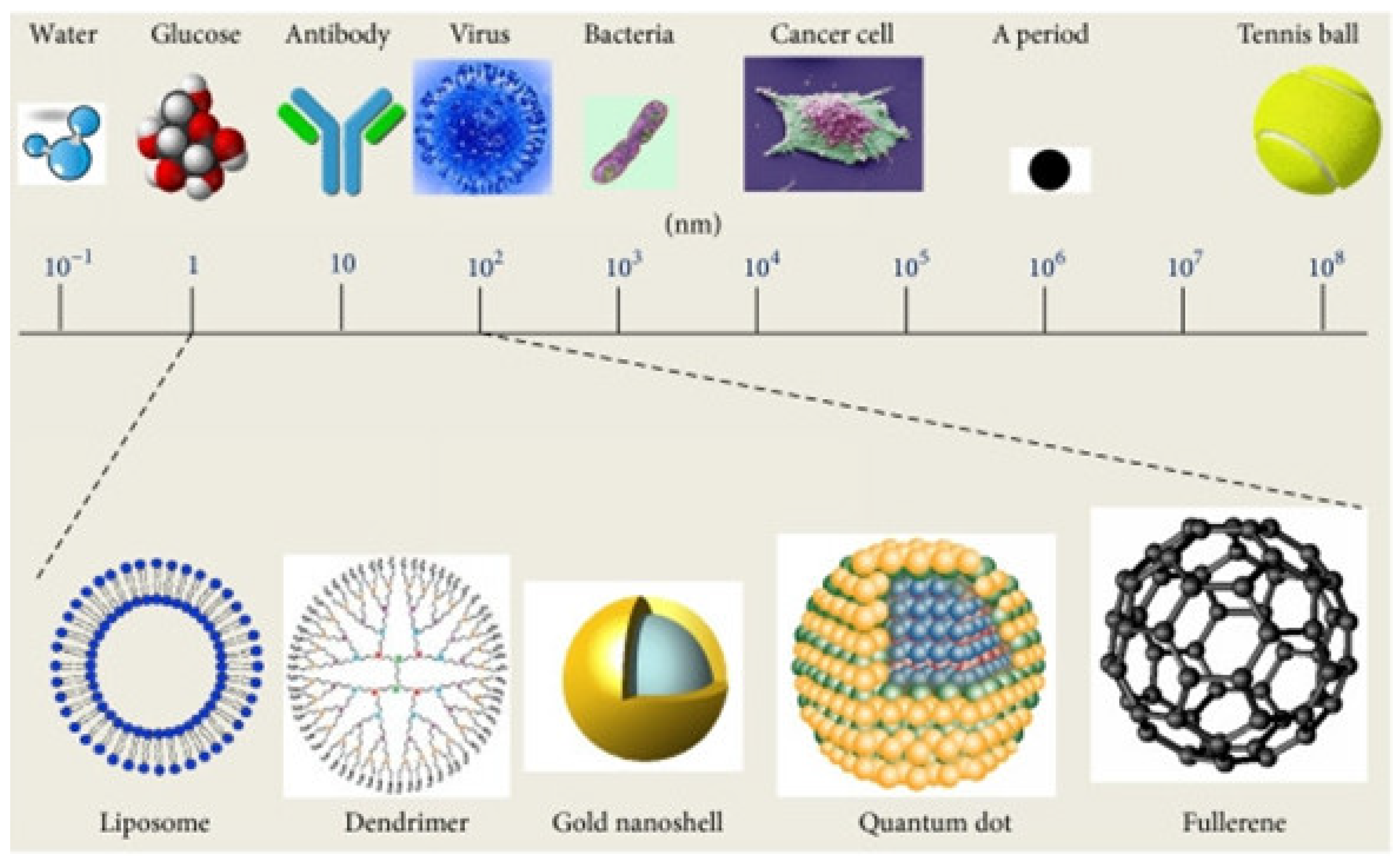 Preprints 151849 g001