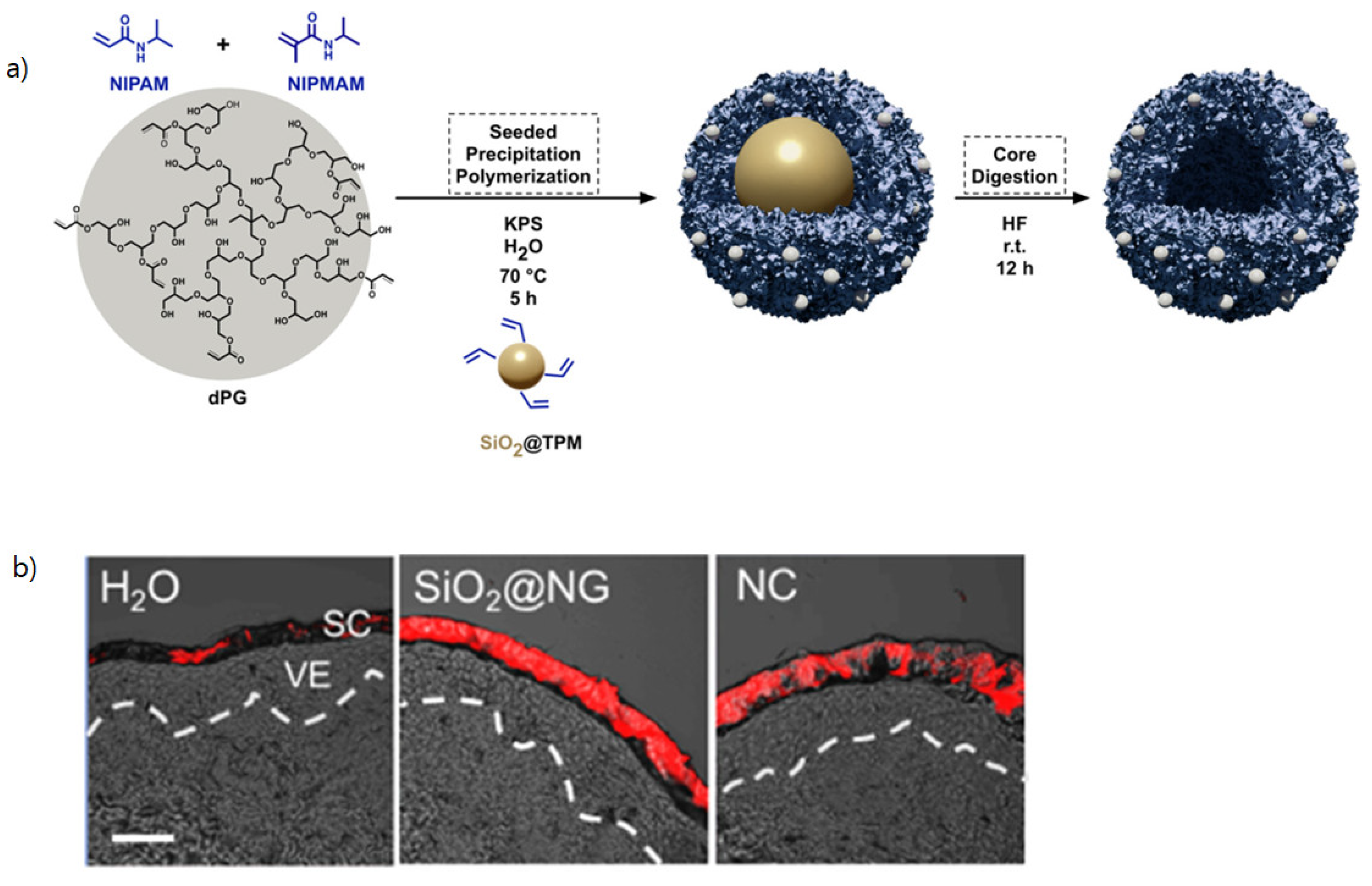 Preprints 151849 g002