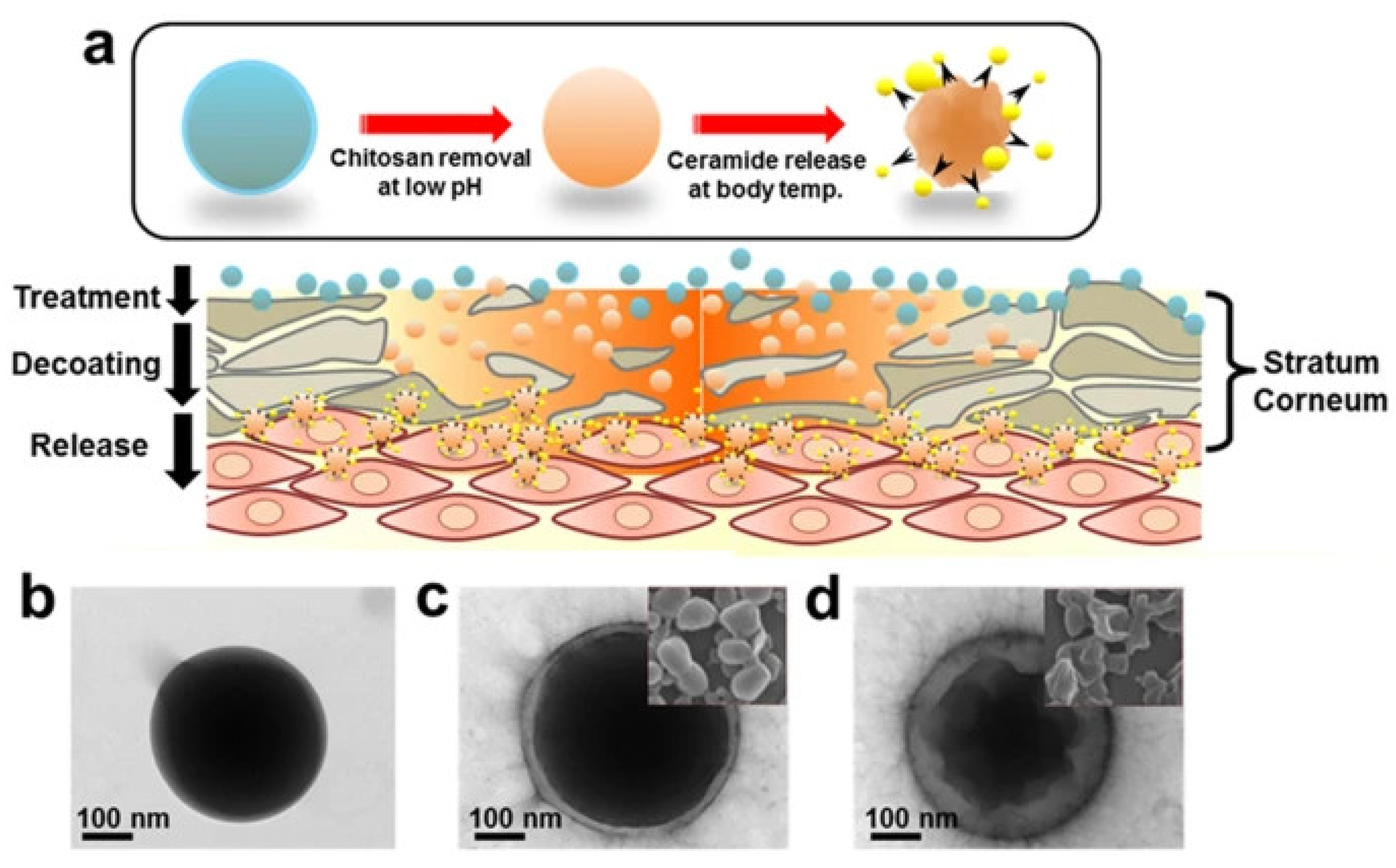 Preprints 151849 g004