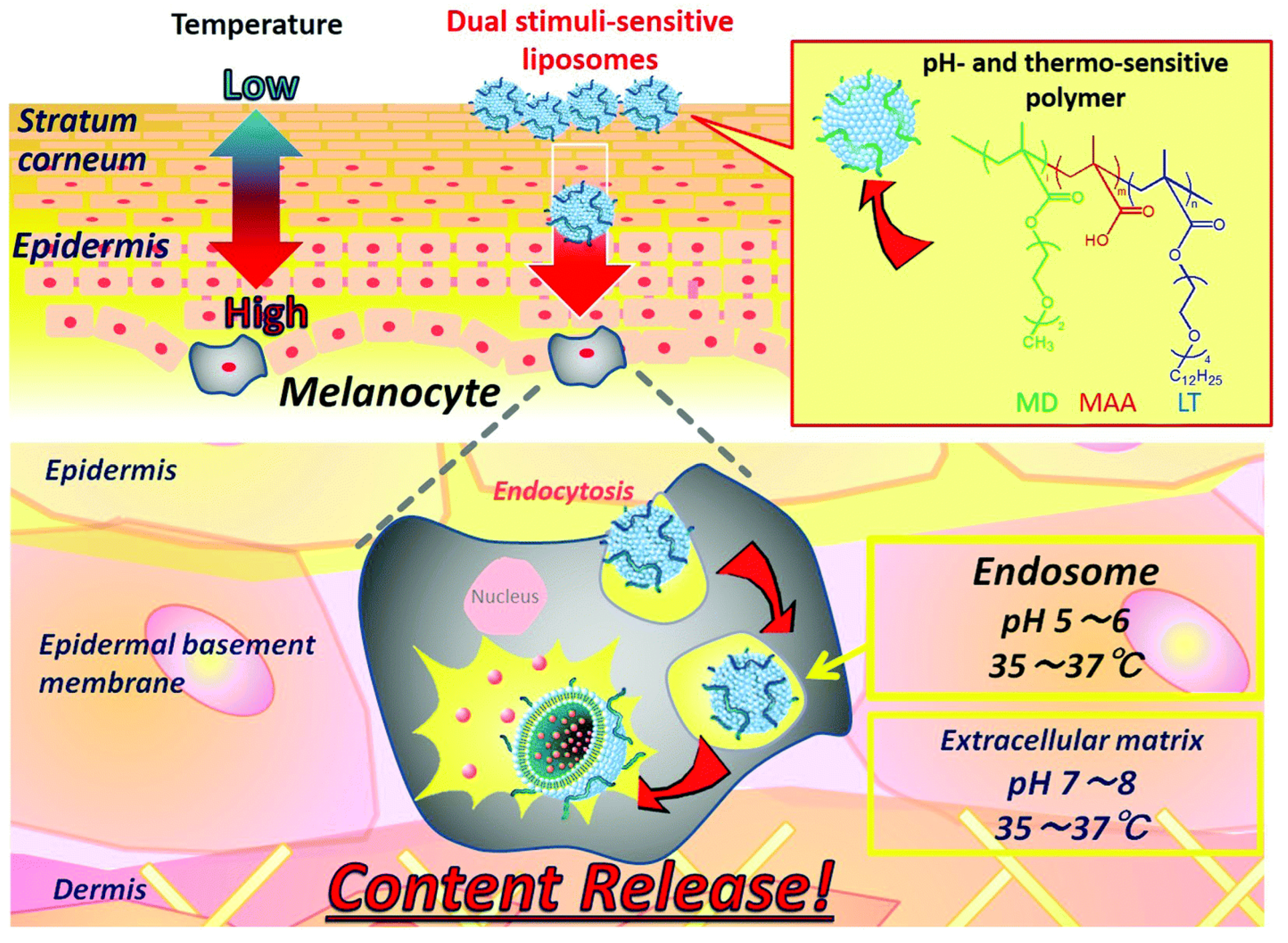 Preprints 151849 g005