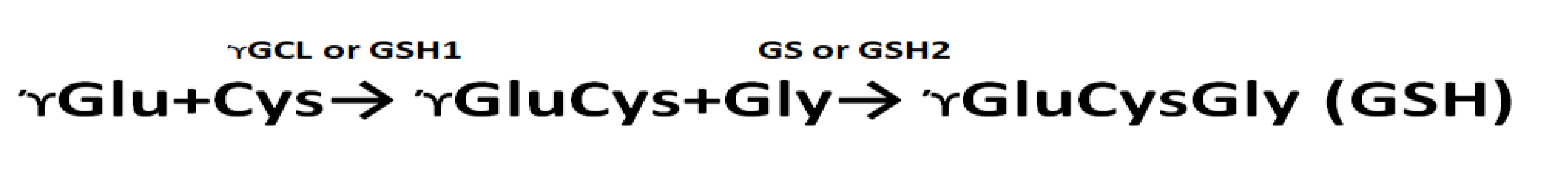 Preprints 121644 i001