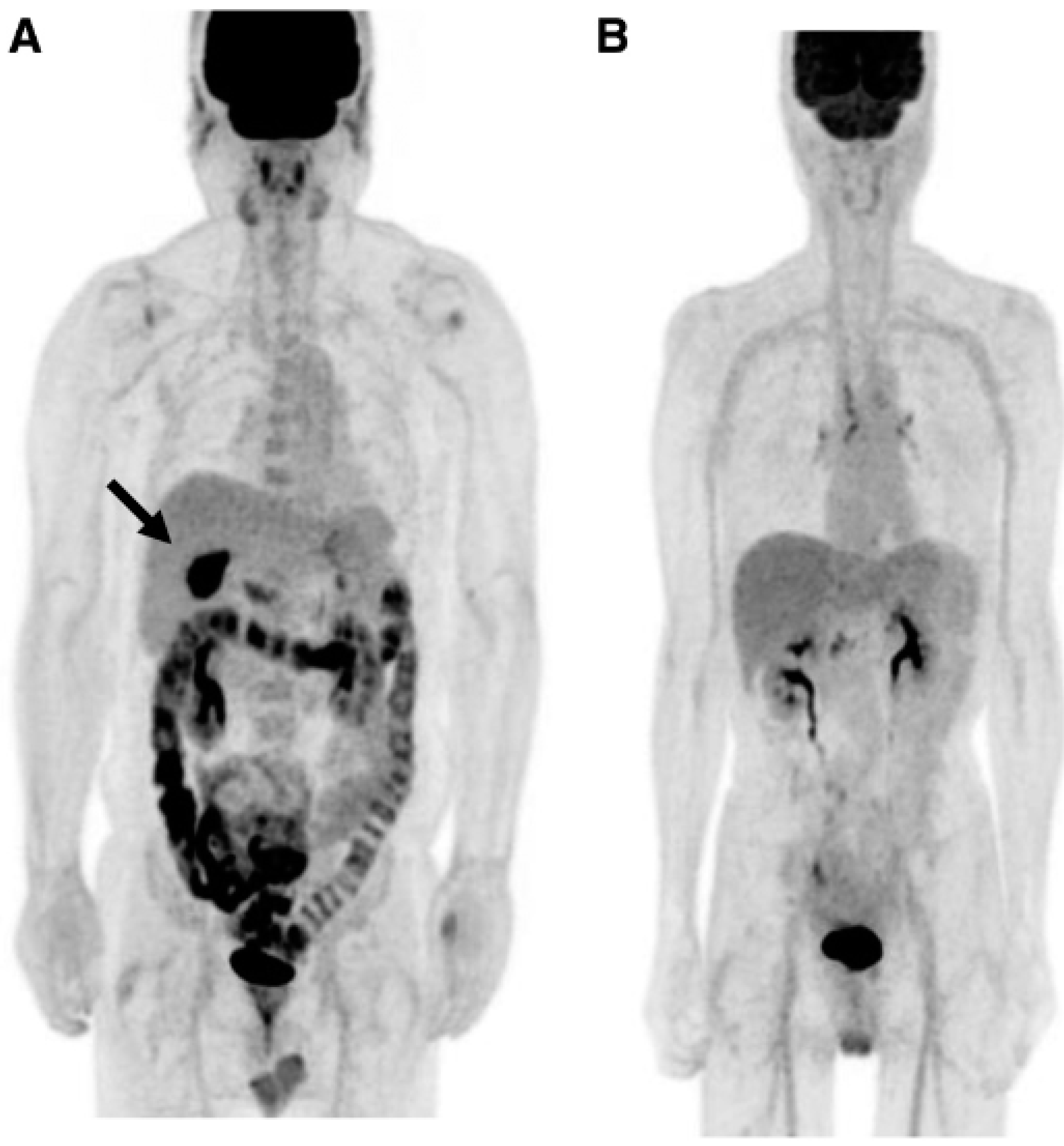 Preprints 79755 g002