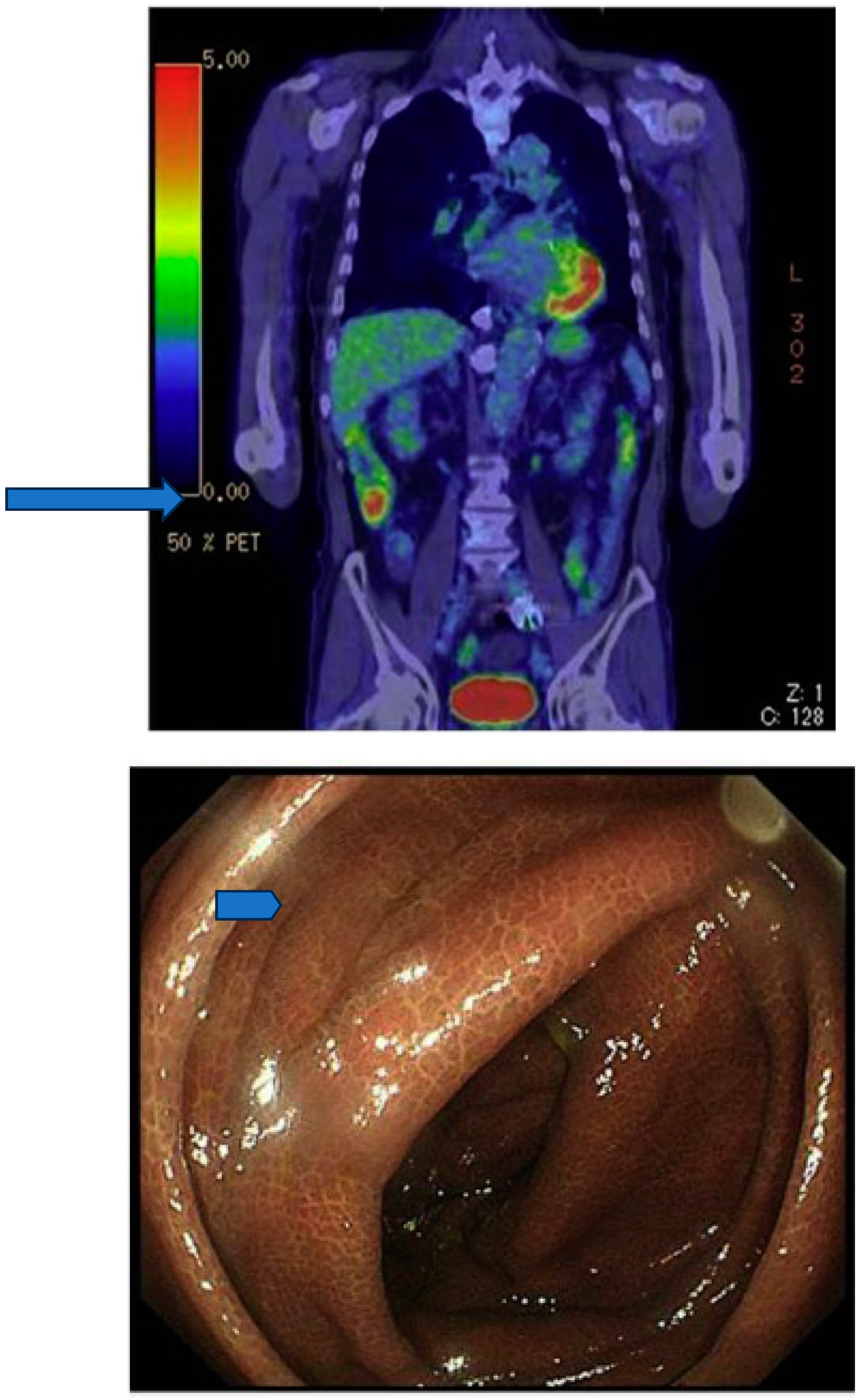 Preprints 79755 g005