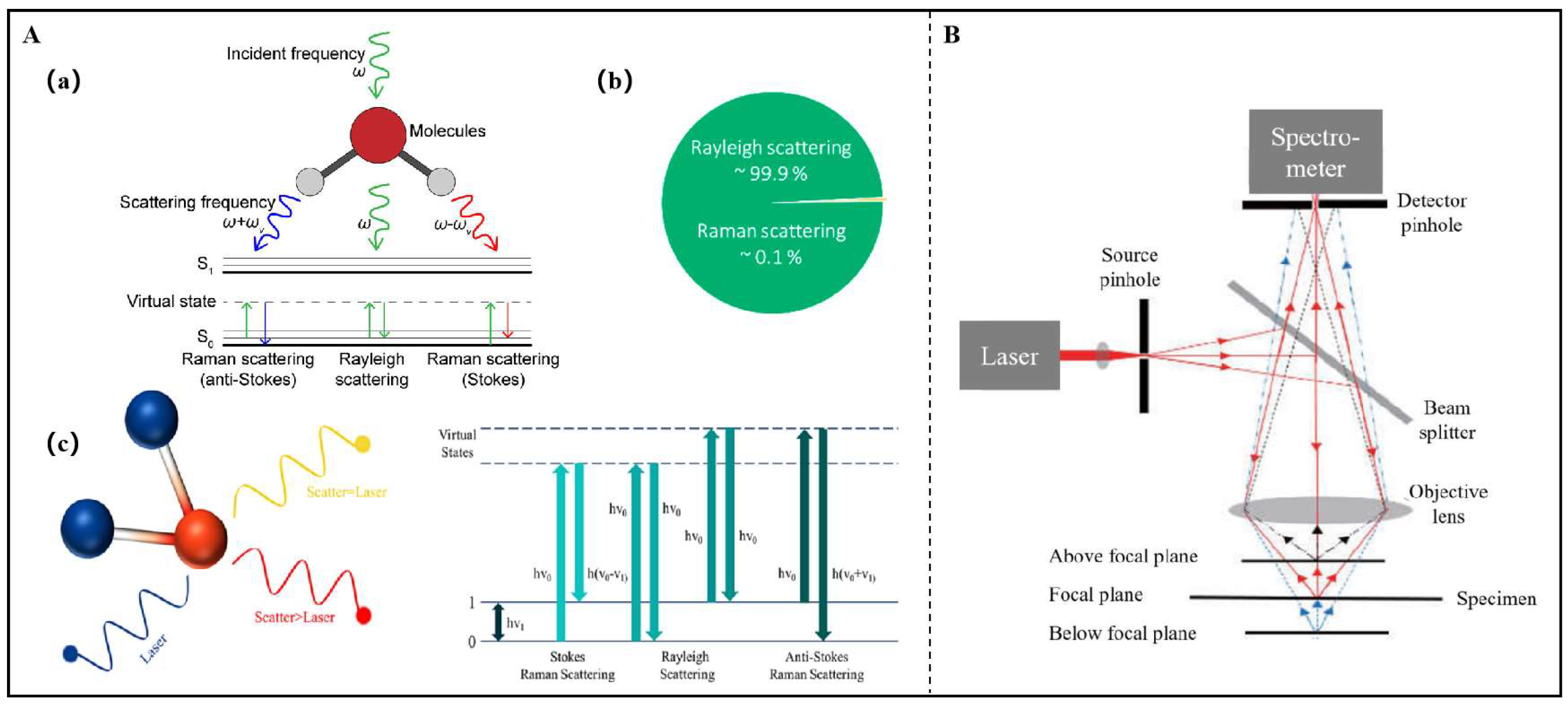 Preprints 147343 g001