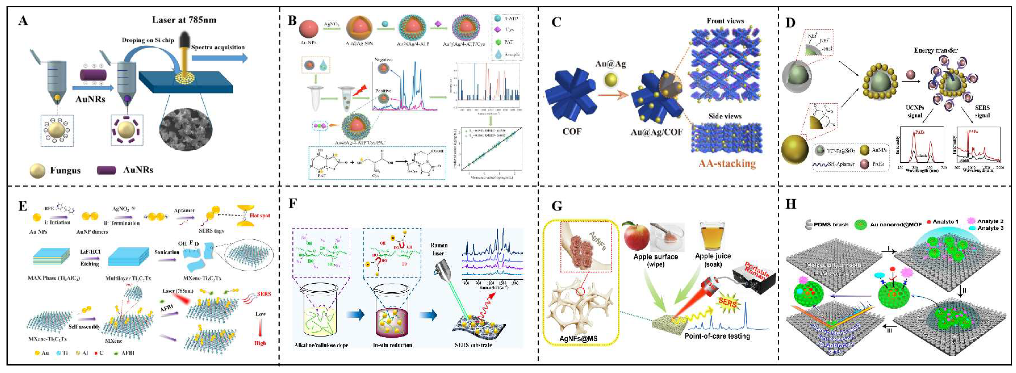 Preprints 147343 g004