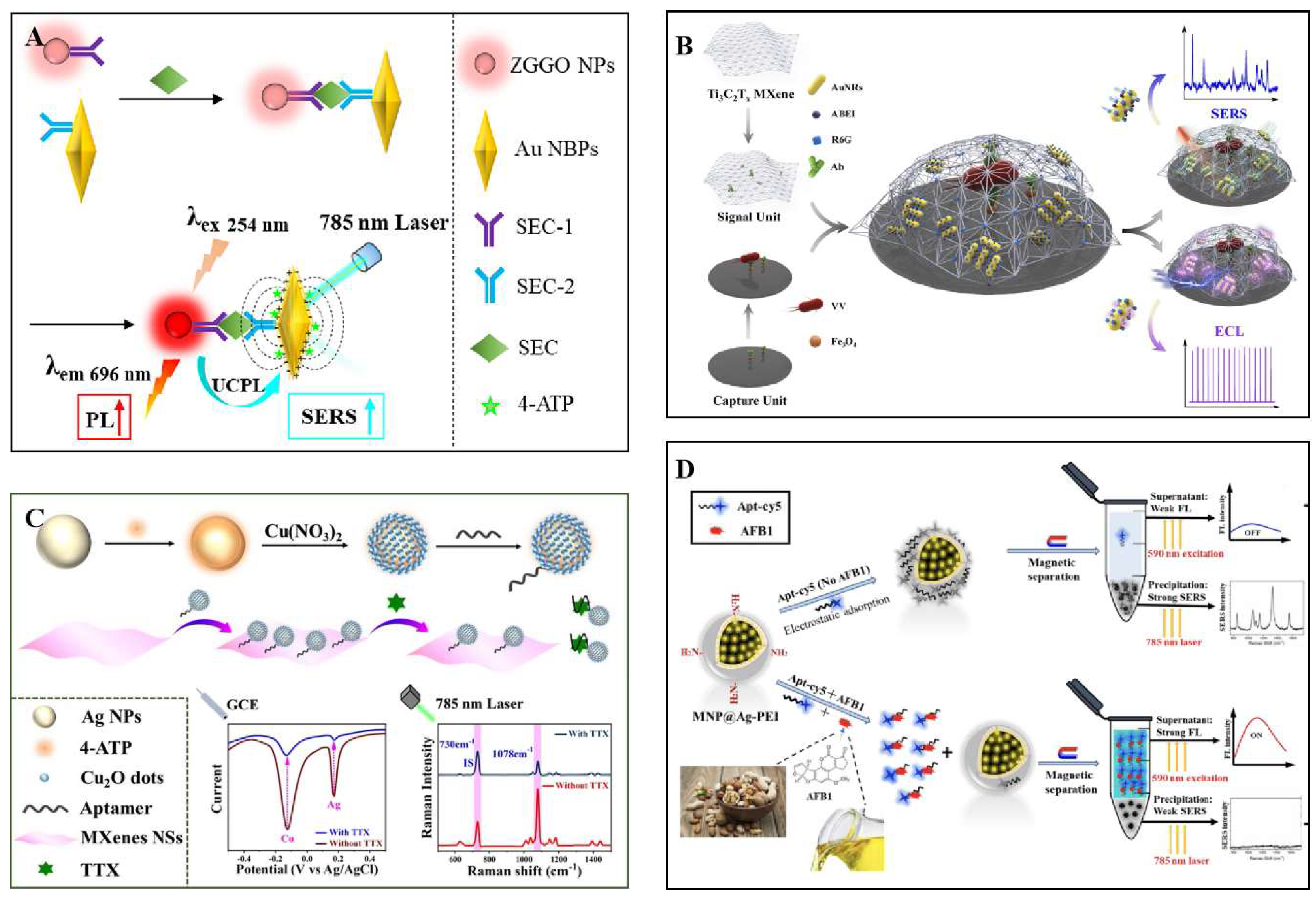 Preprints 147343 g007