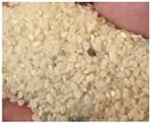 Preprints 147343 i009