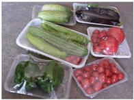 Preprints 147343 i015