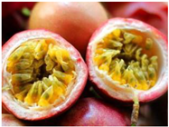 Preprints 147343 i016