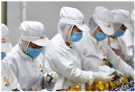 Preprints 147343 i017