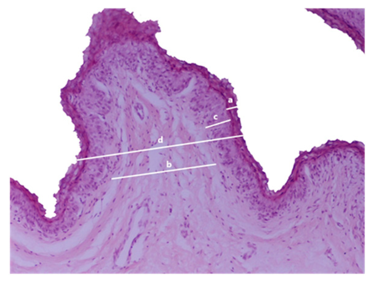 Preprints 109369 g001