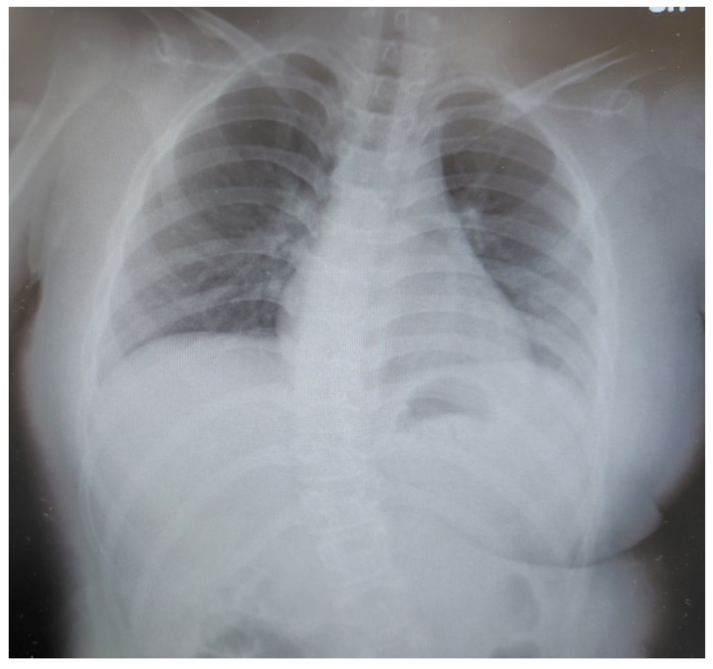 Preprints 146880 g002