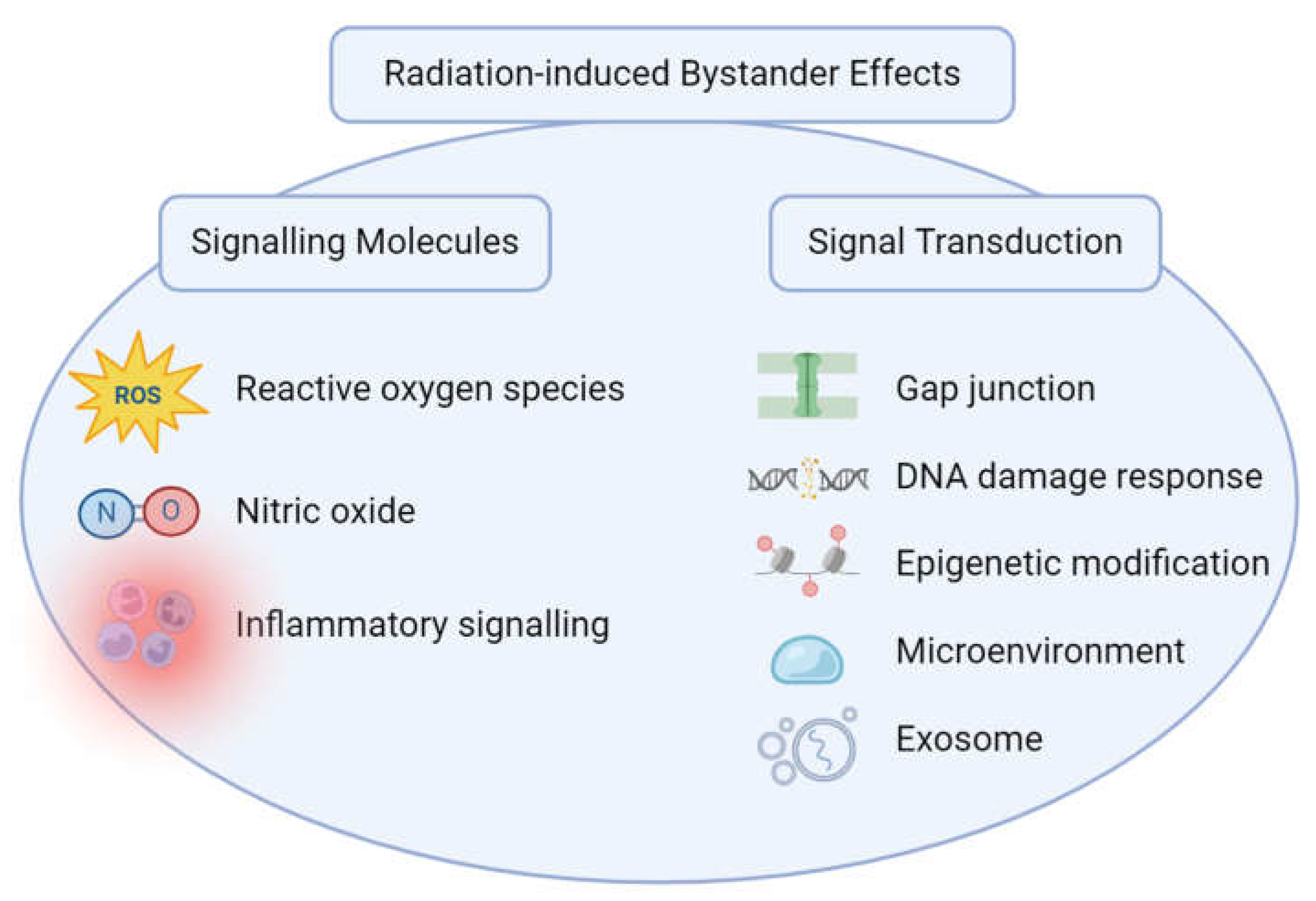 Preprints 152349 g001