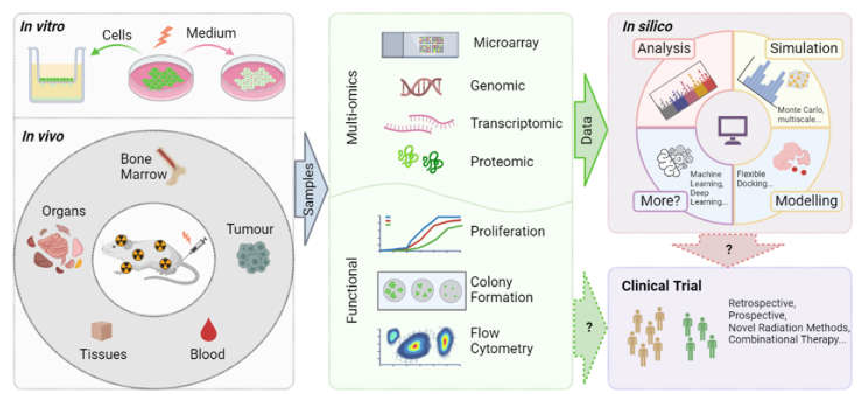 Preprints 152349 g002
