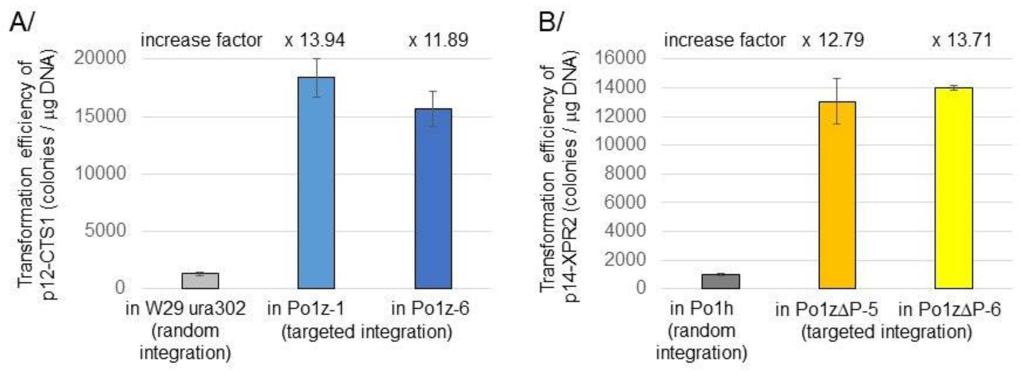 Preprints 158516 g003