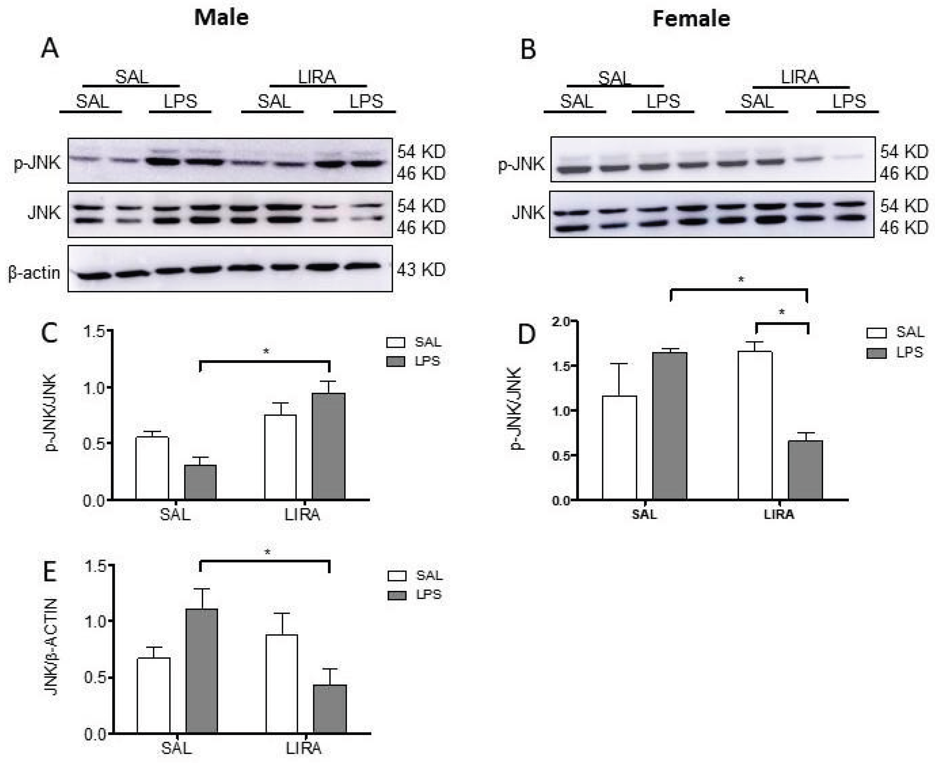 Preprints 179710 g006