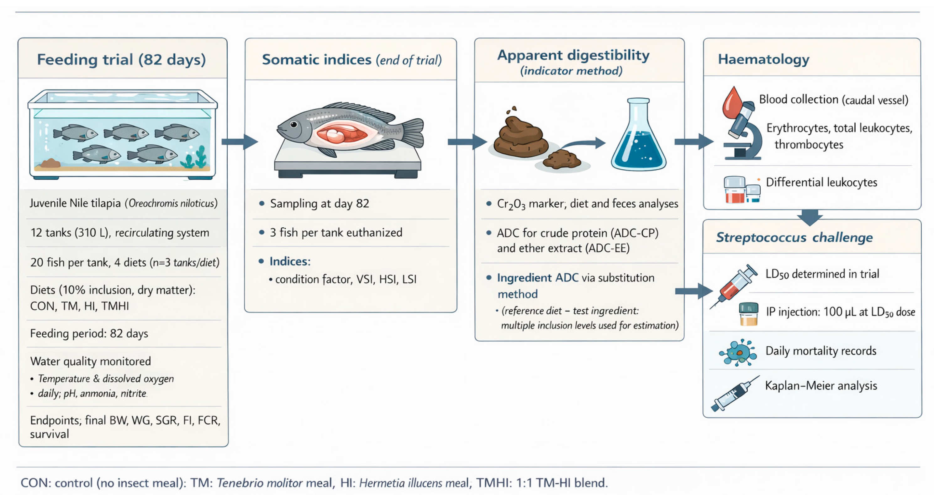 Preprints 207782 g002