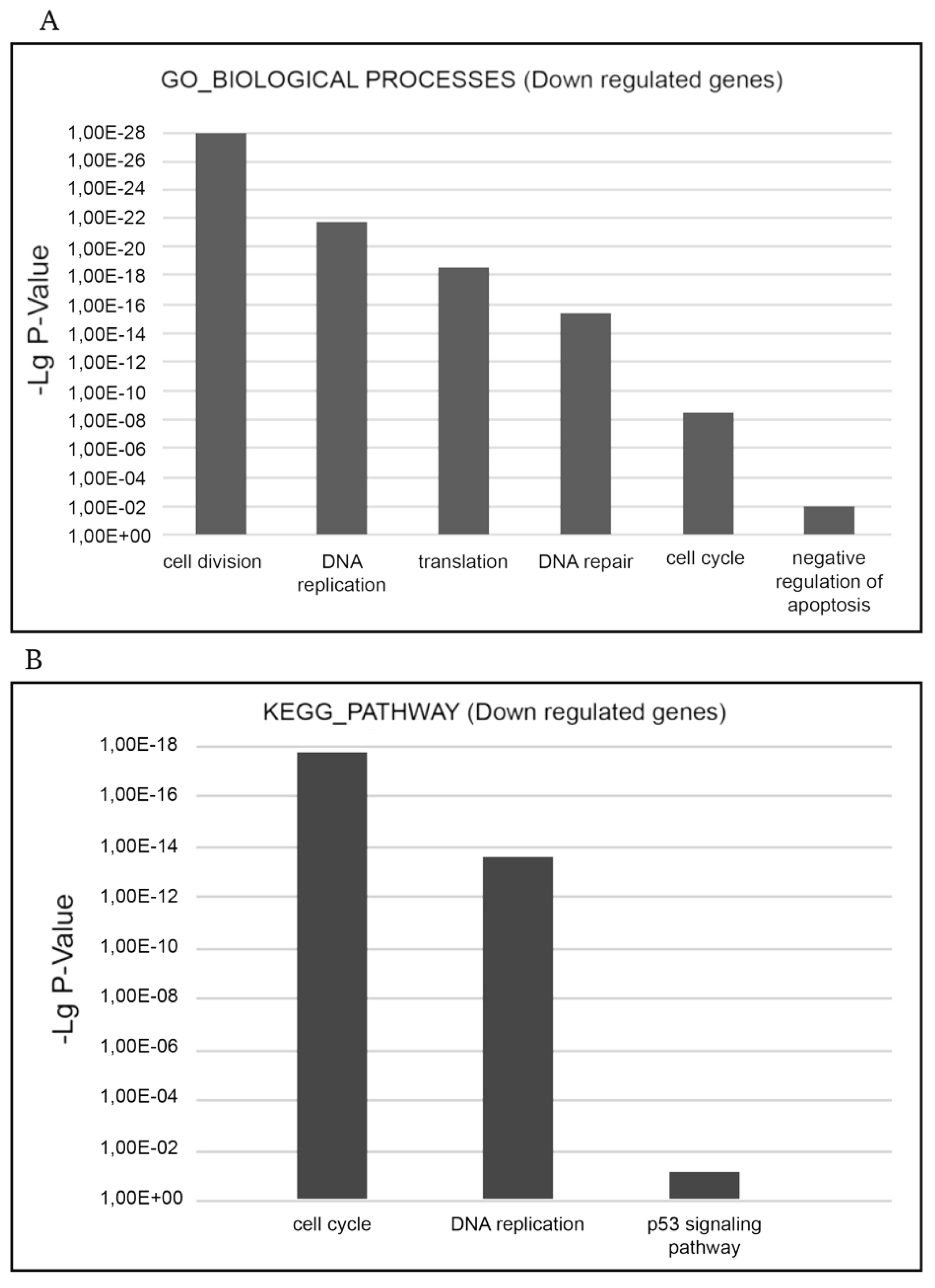 Preprints 158616 g004