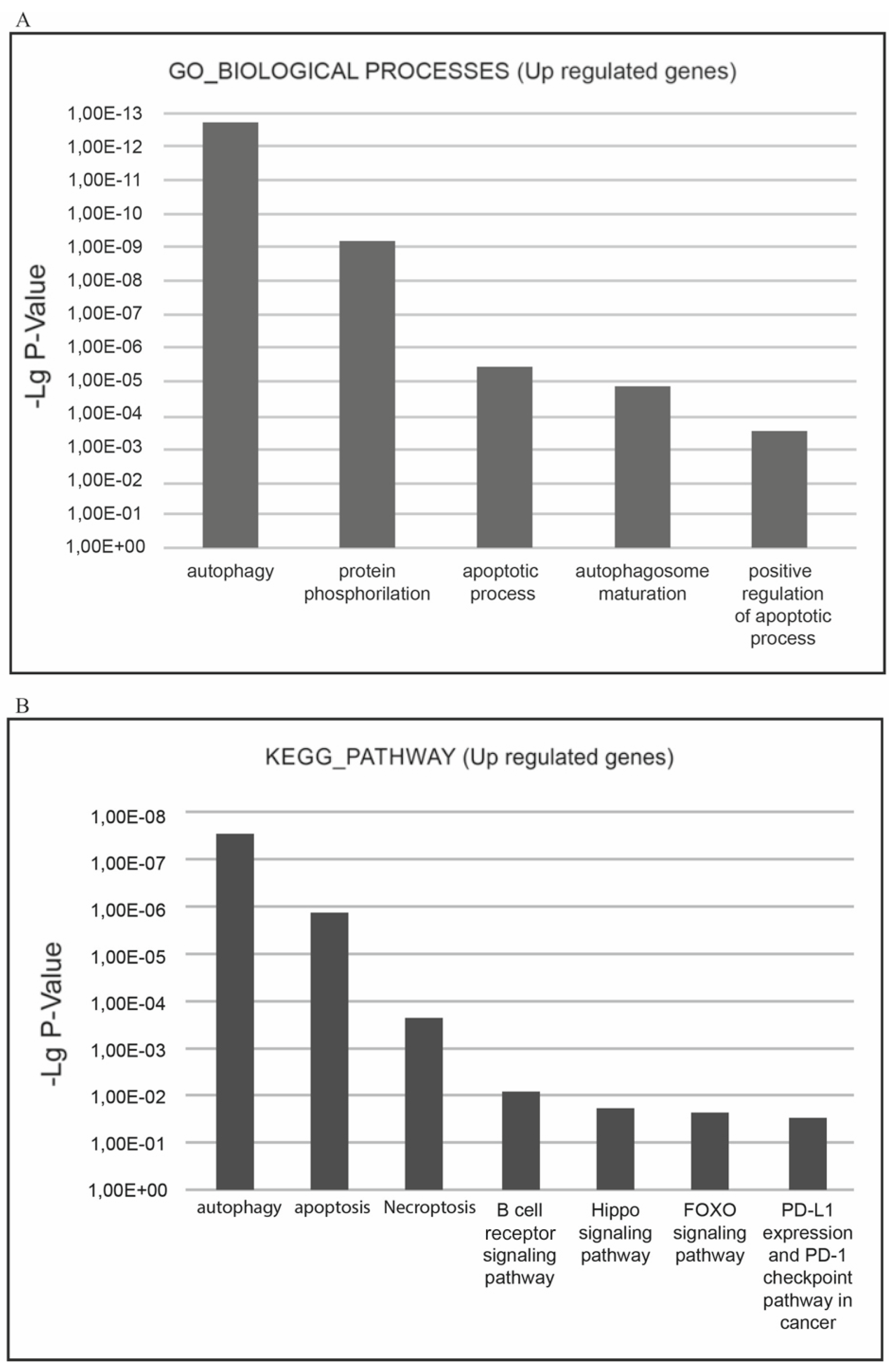 Preprints 158616 g006