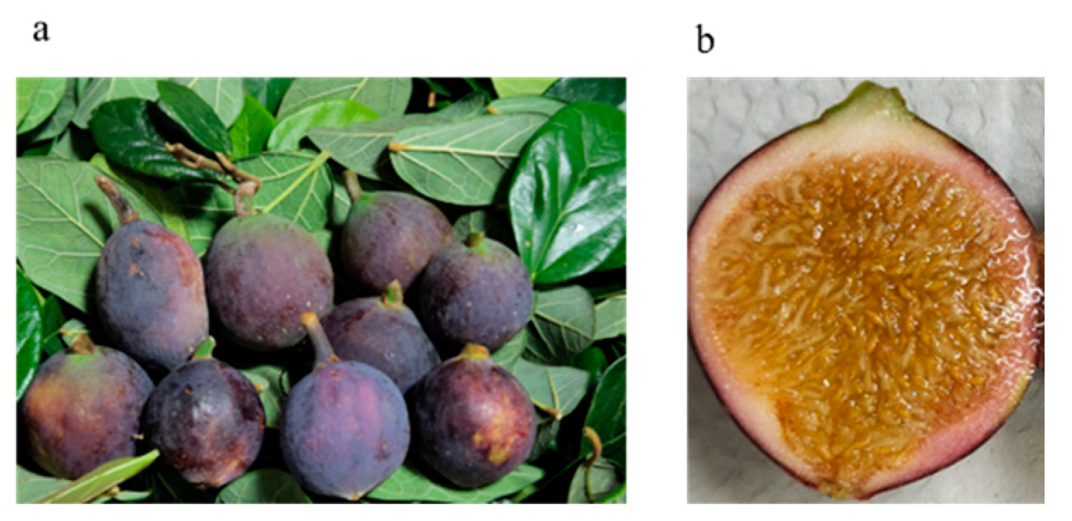 Preprints 140623 g003