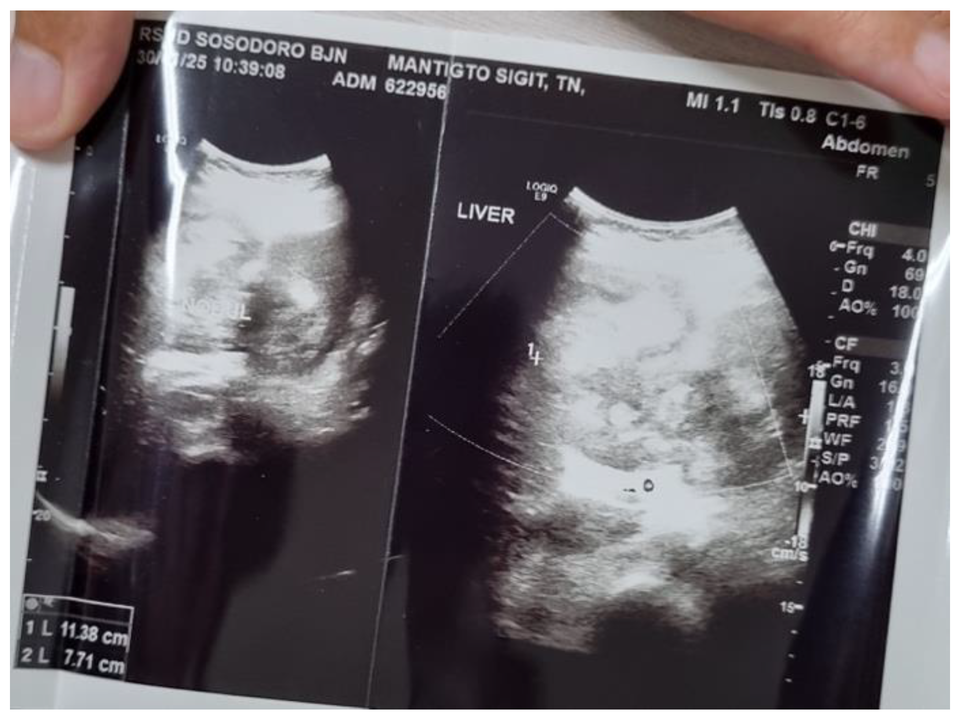 Preprints 205045 g001