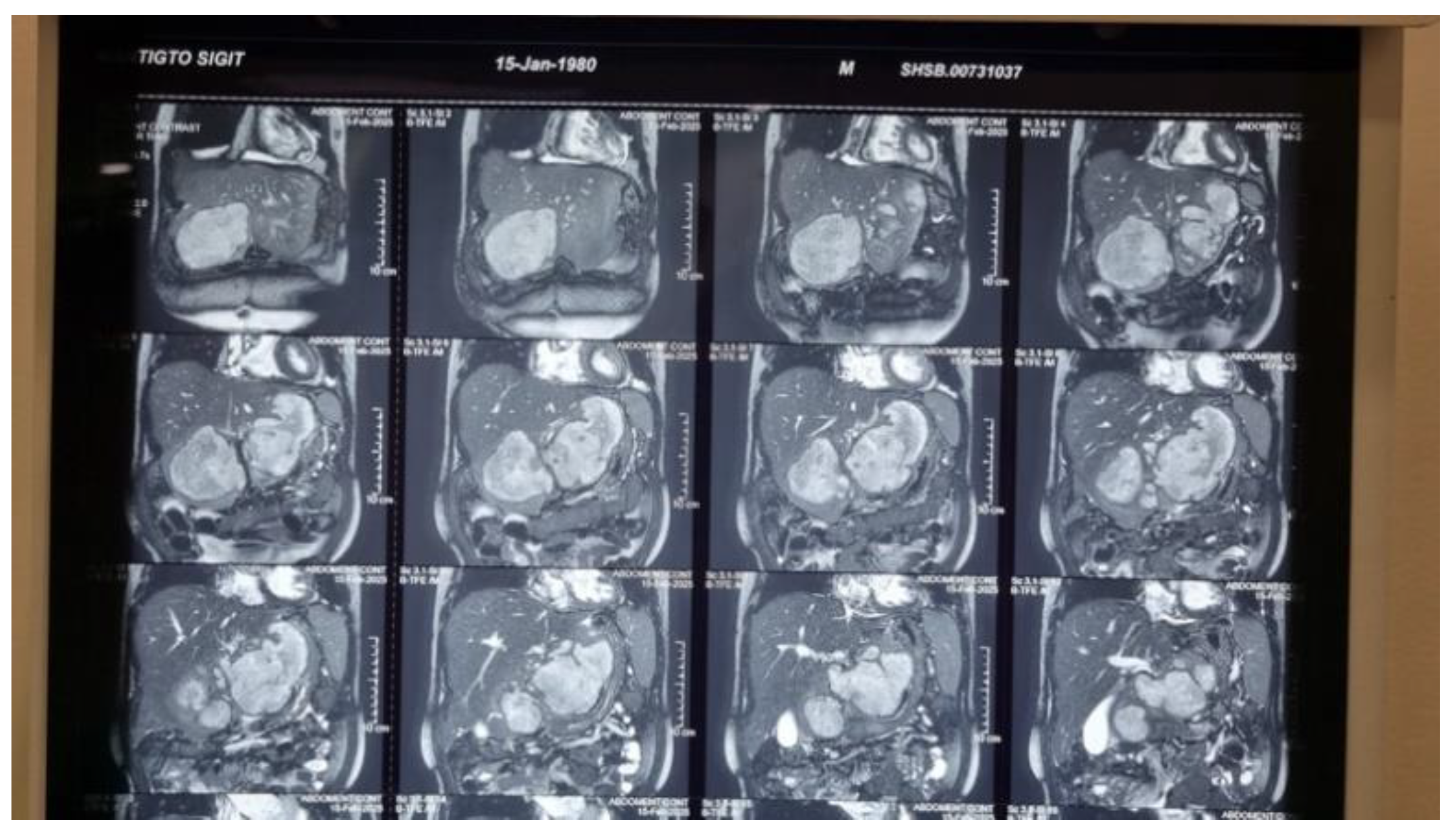 Preprints 205045 g002