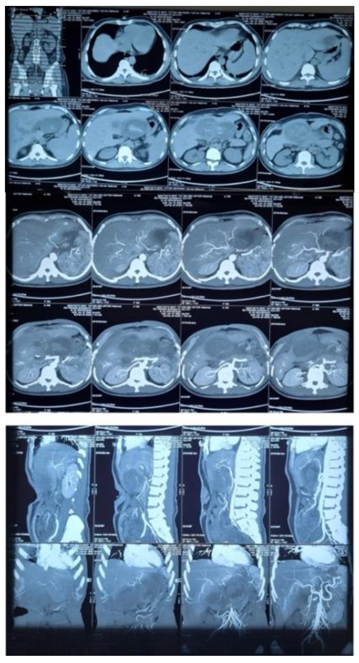 Preprints 205045 g003