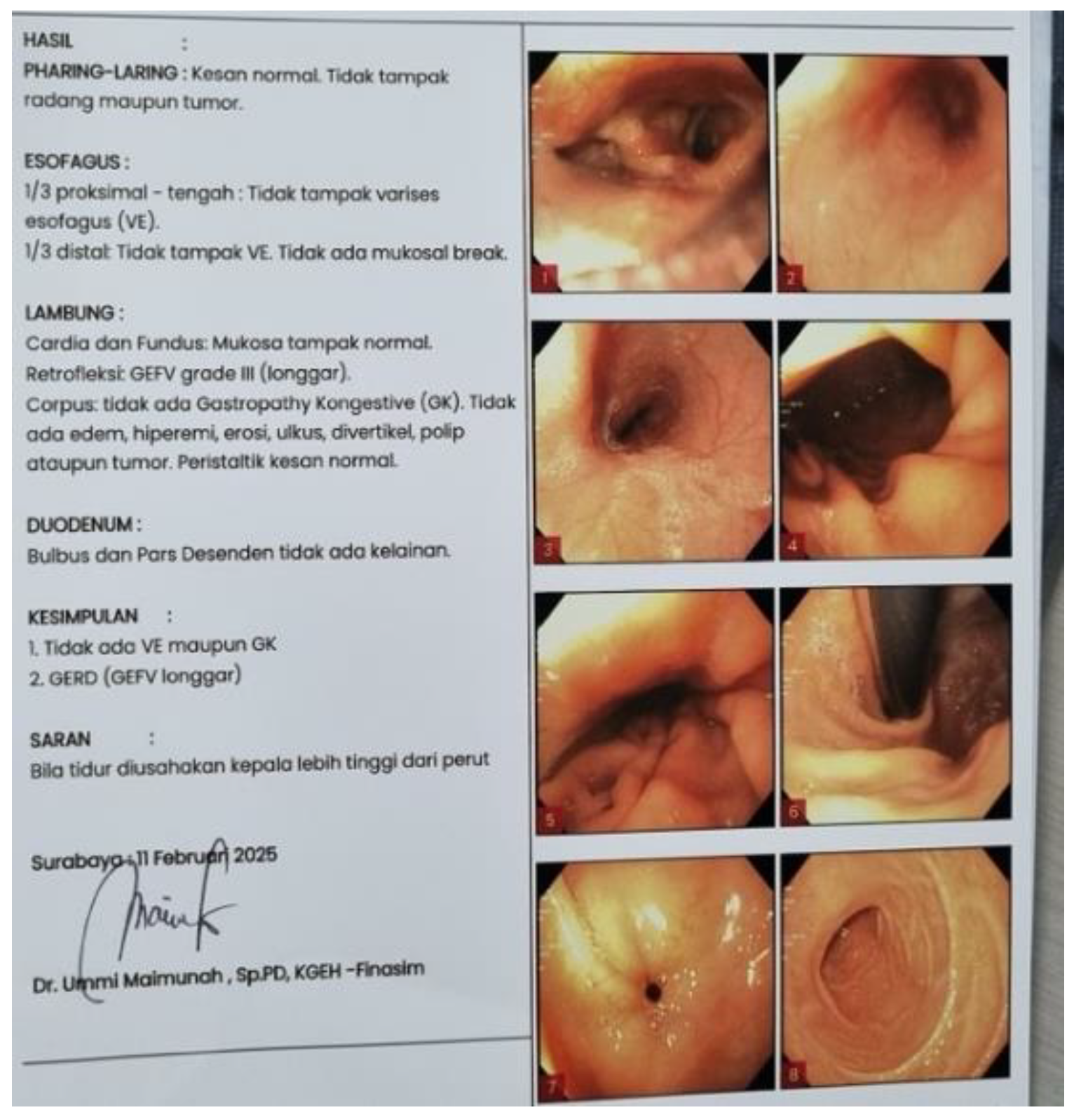 Preprints 205045 g004