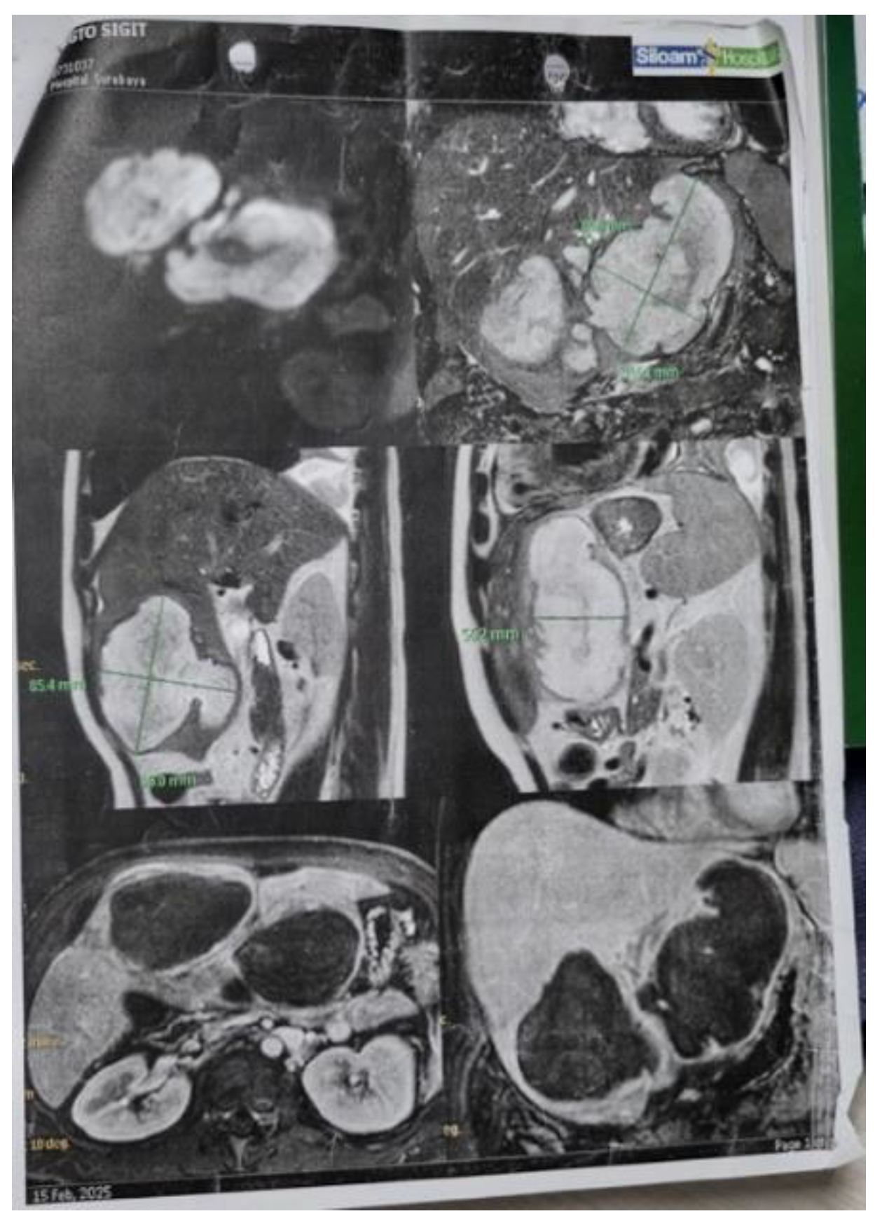 Preprints 205045 g005