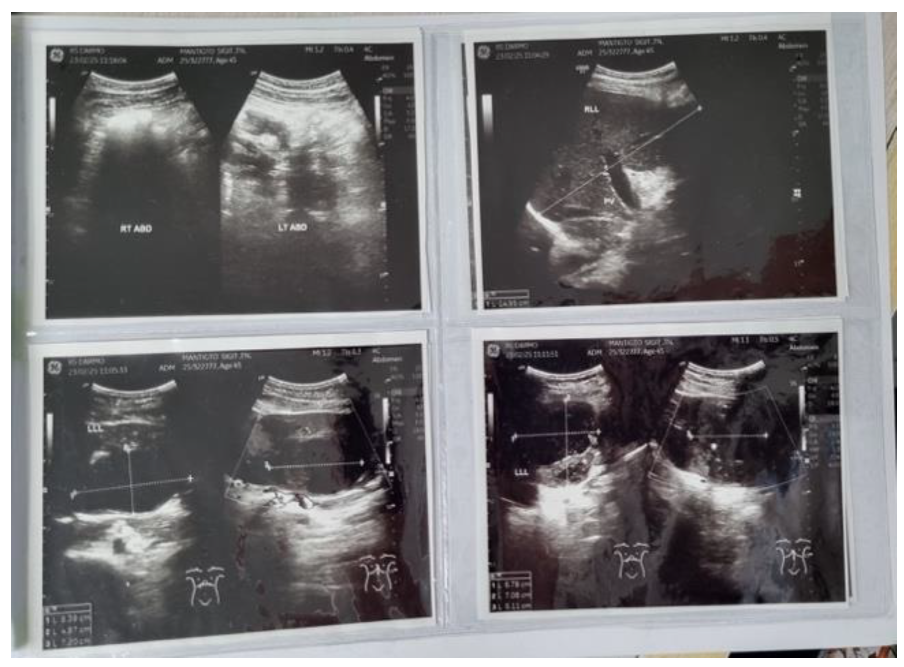 Preprints 205045 g006