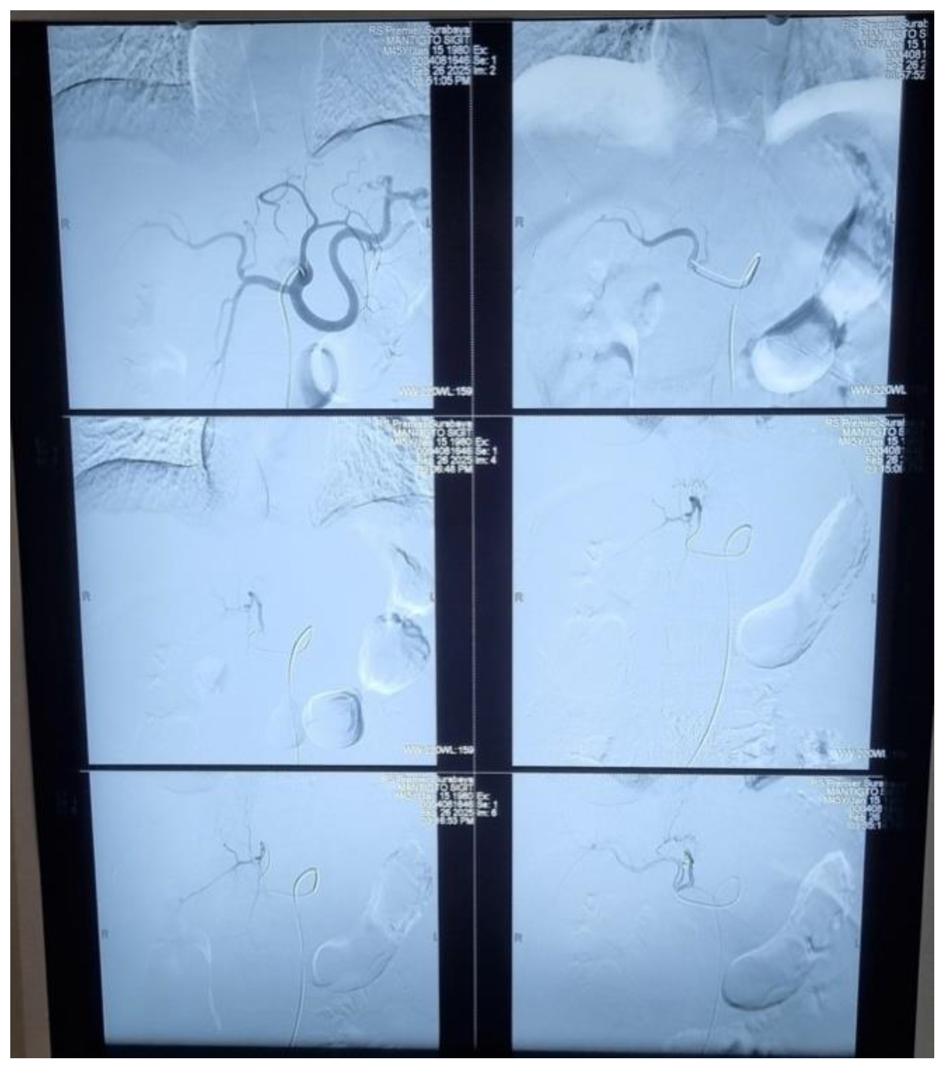 Preprints 205045 g007