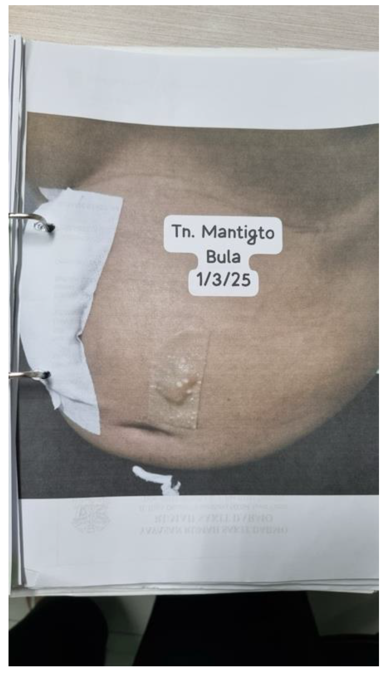 Preprints 205045 g008