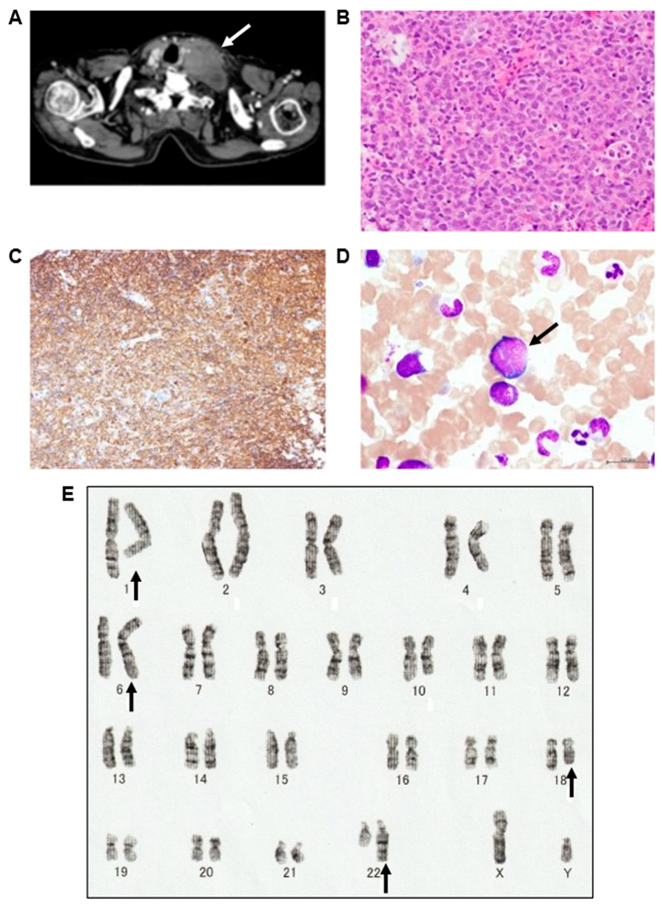 Preprints 90088 g001