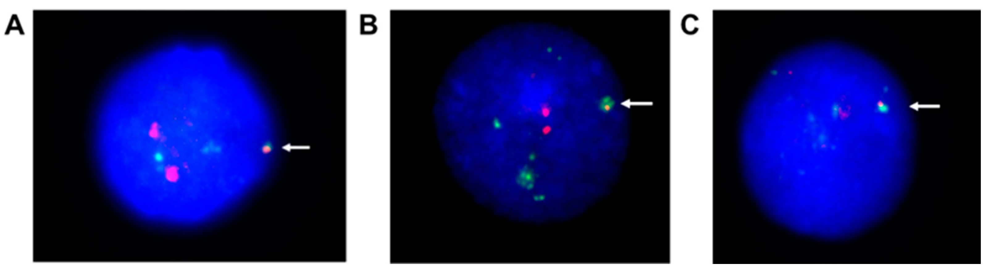 Preprints 90088 g002