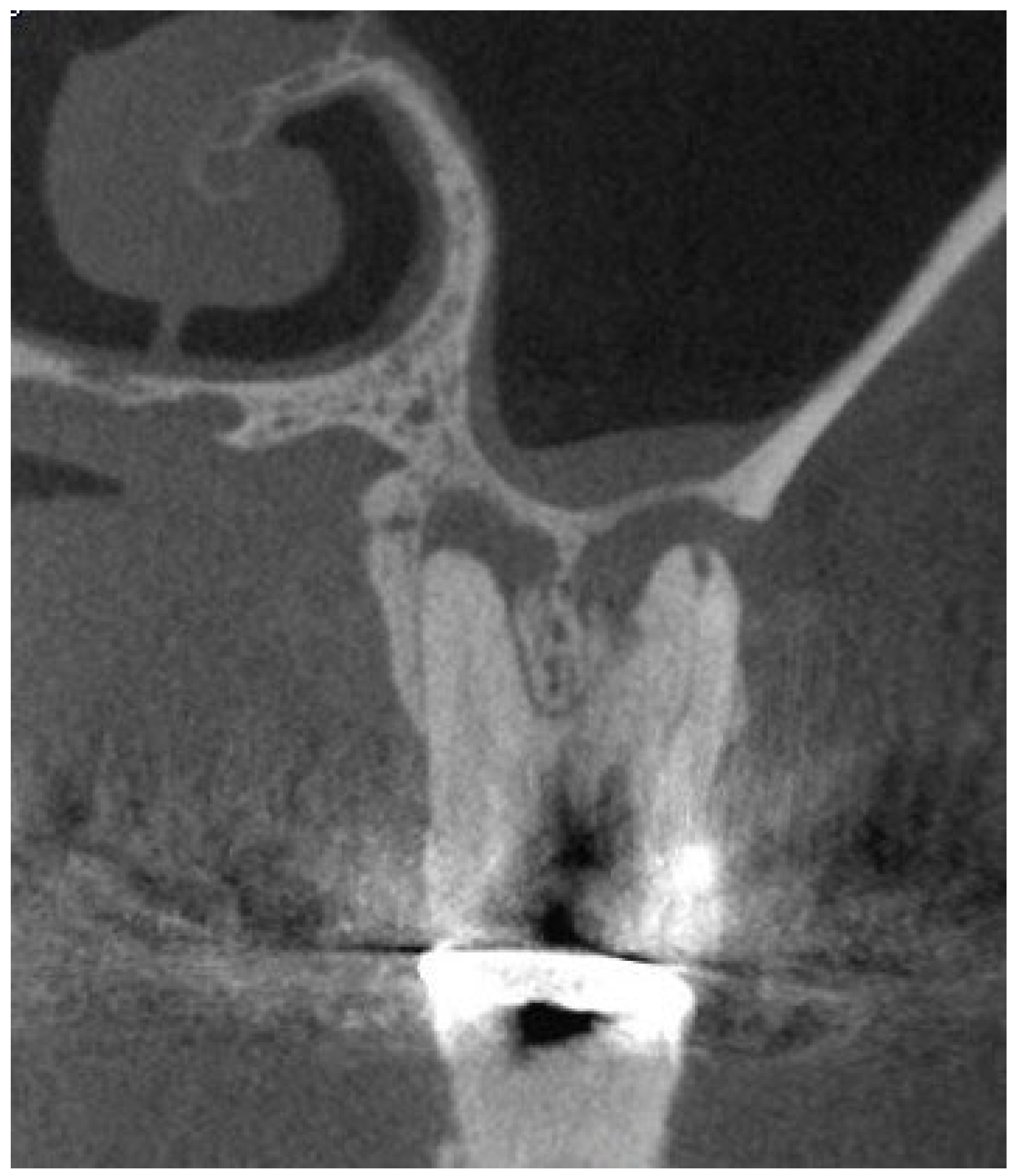 Preprints 142892 g002