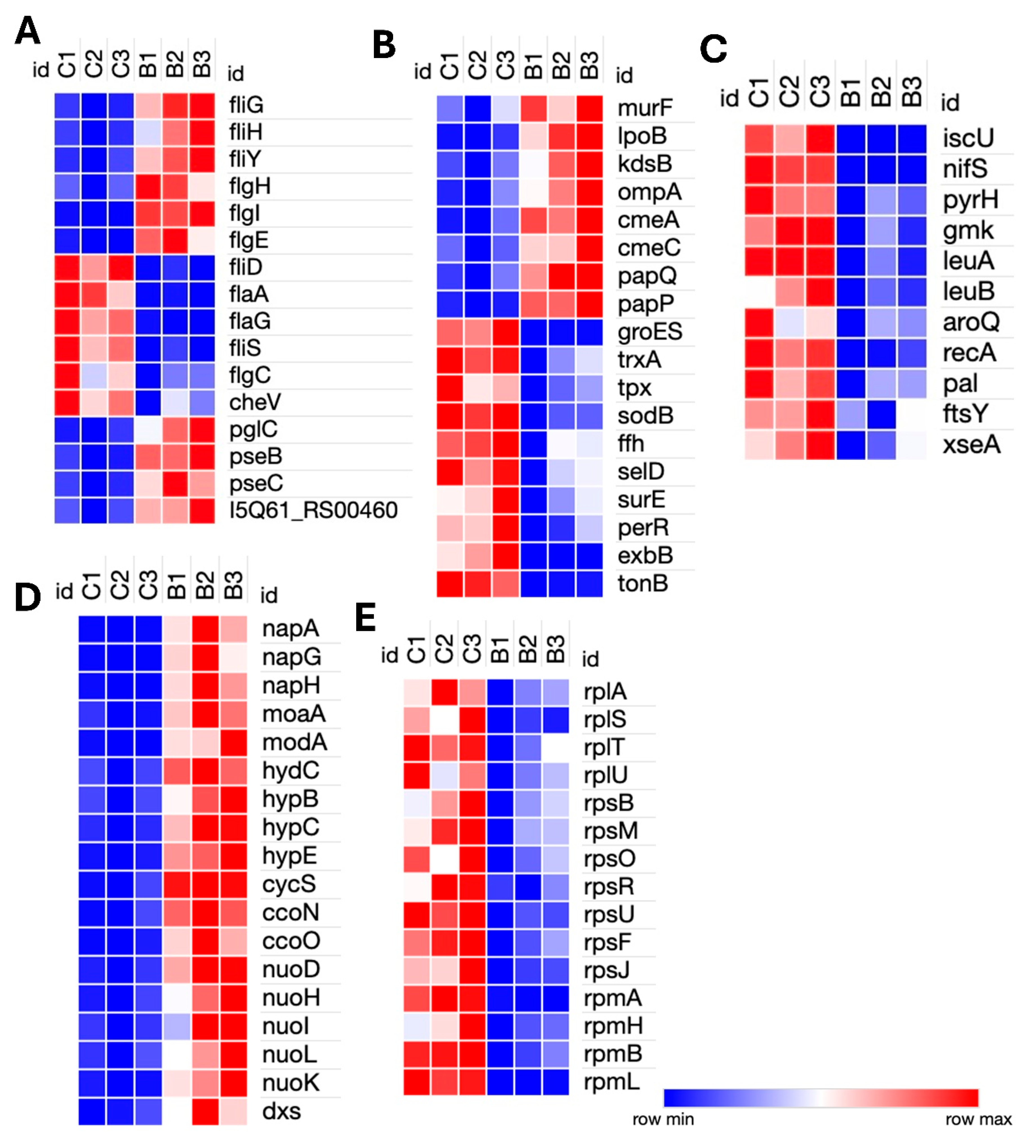 Preprints 172067 g002